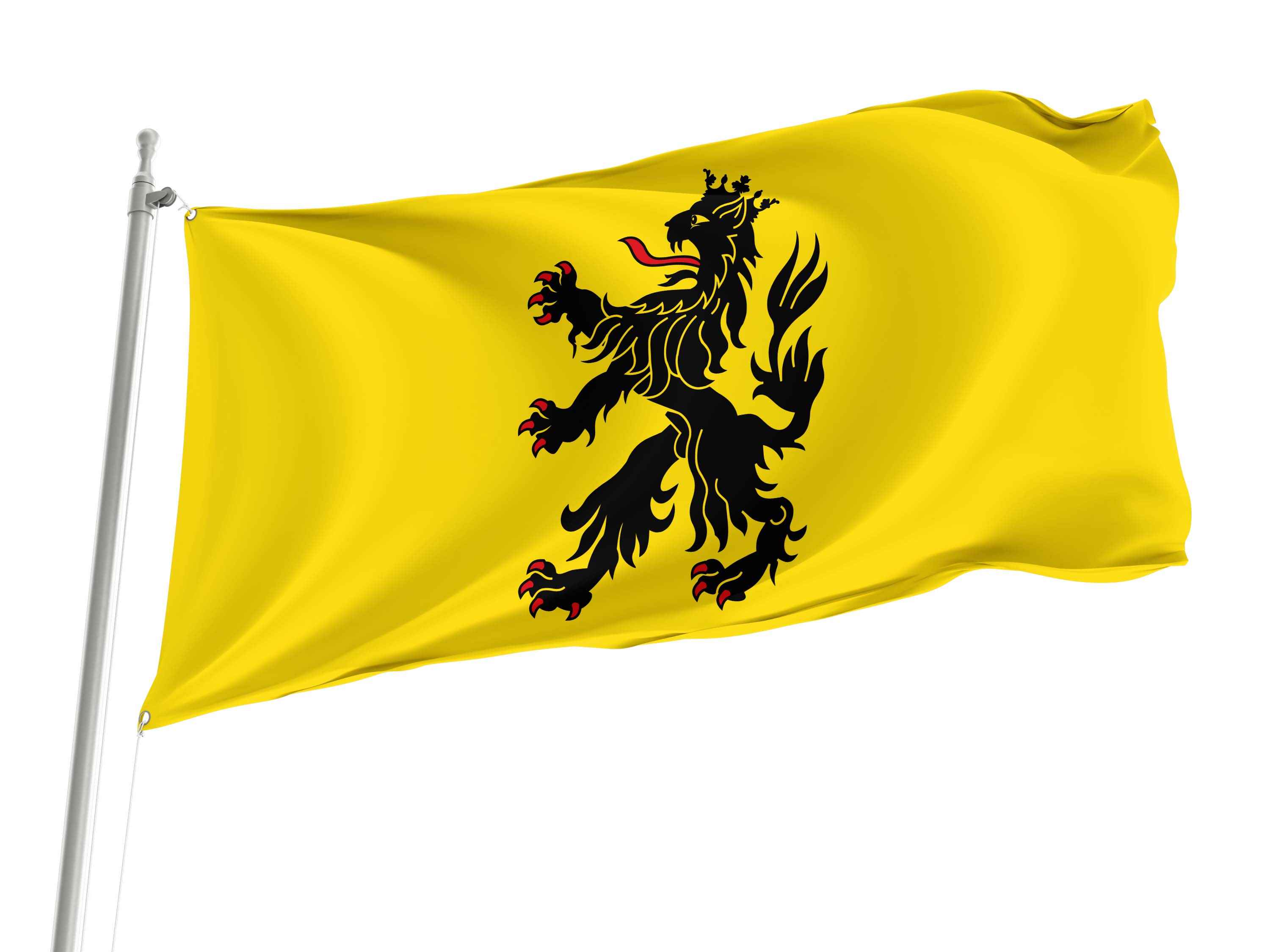 Hulst Flag for Indoor & Outdoor Use