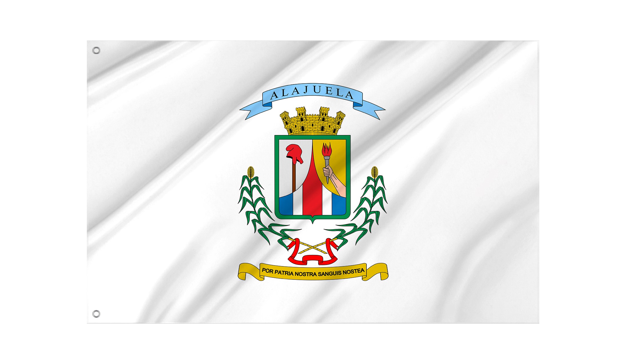 Alajuela Province Flag for Indoor & Outdoor Use