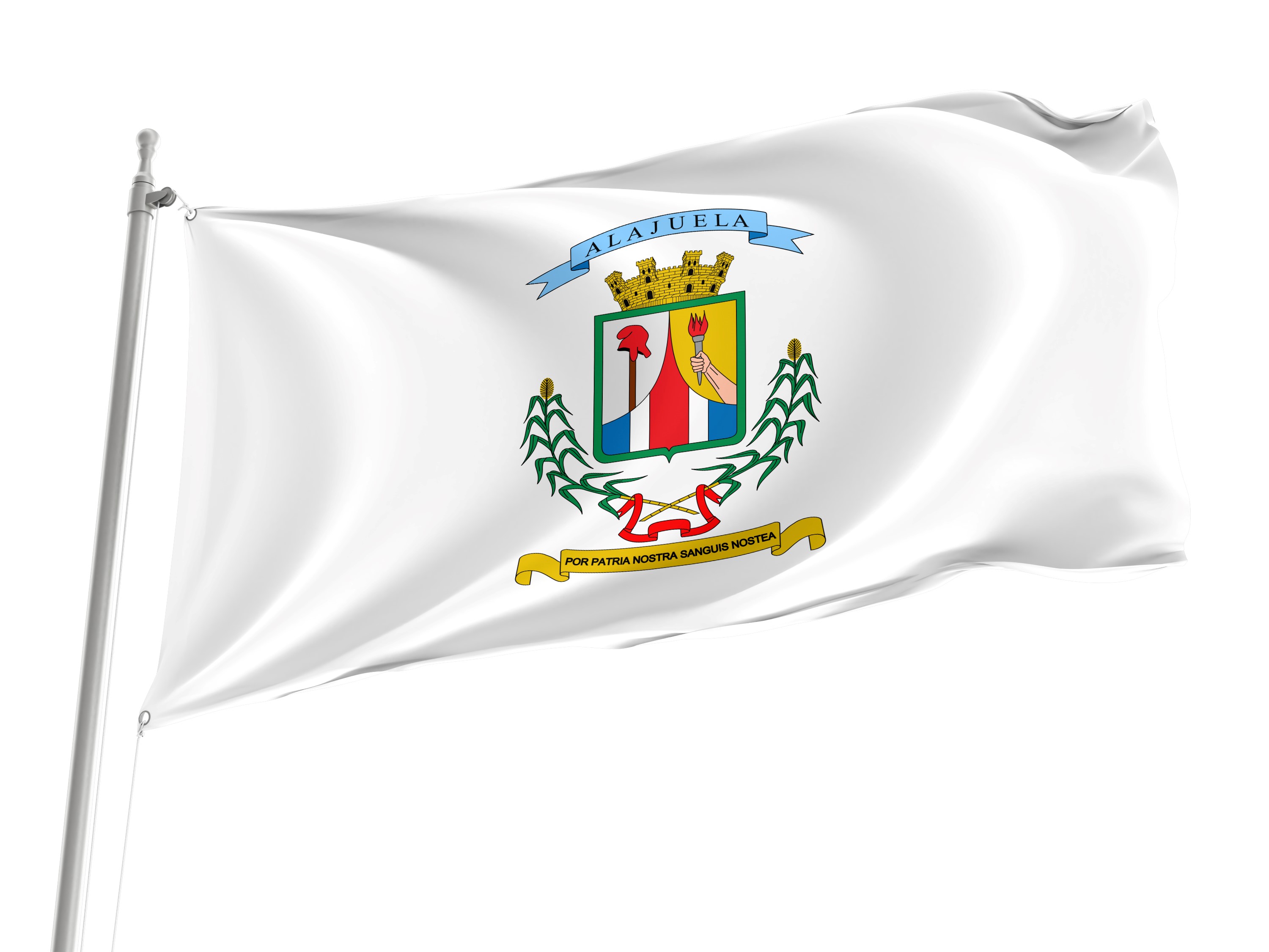 Alajuela Province Flag for Indoor & Outdoor Use