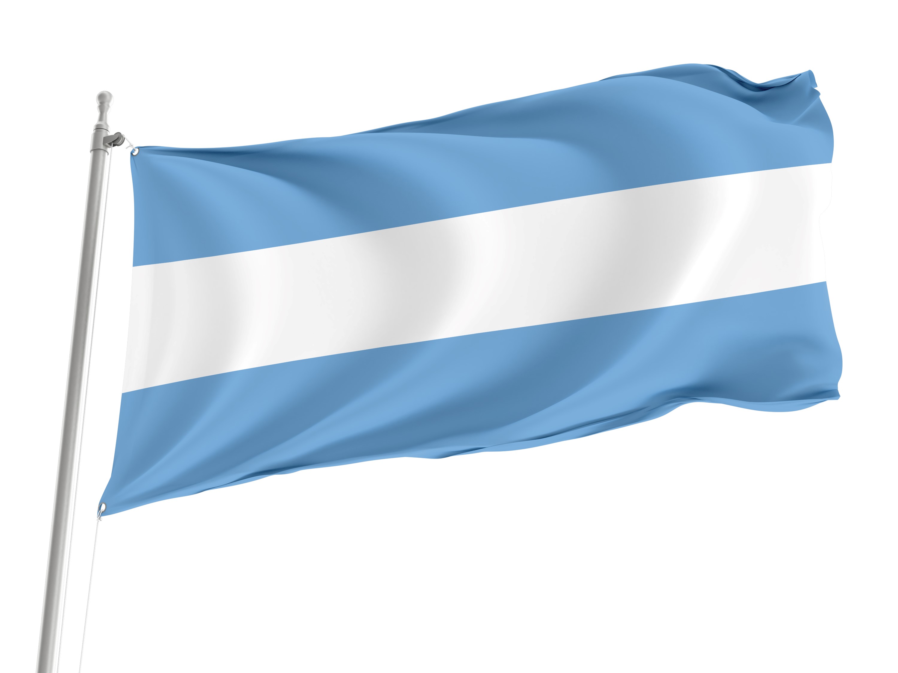 Pococi Flag for Indoor & Outdoor Use