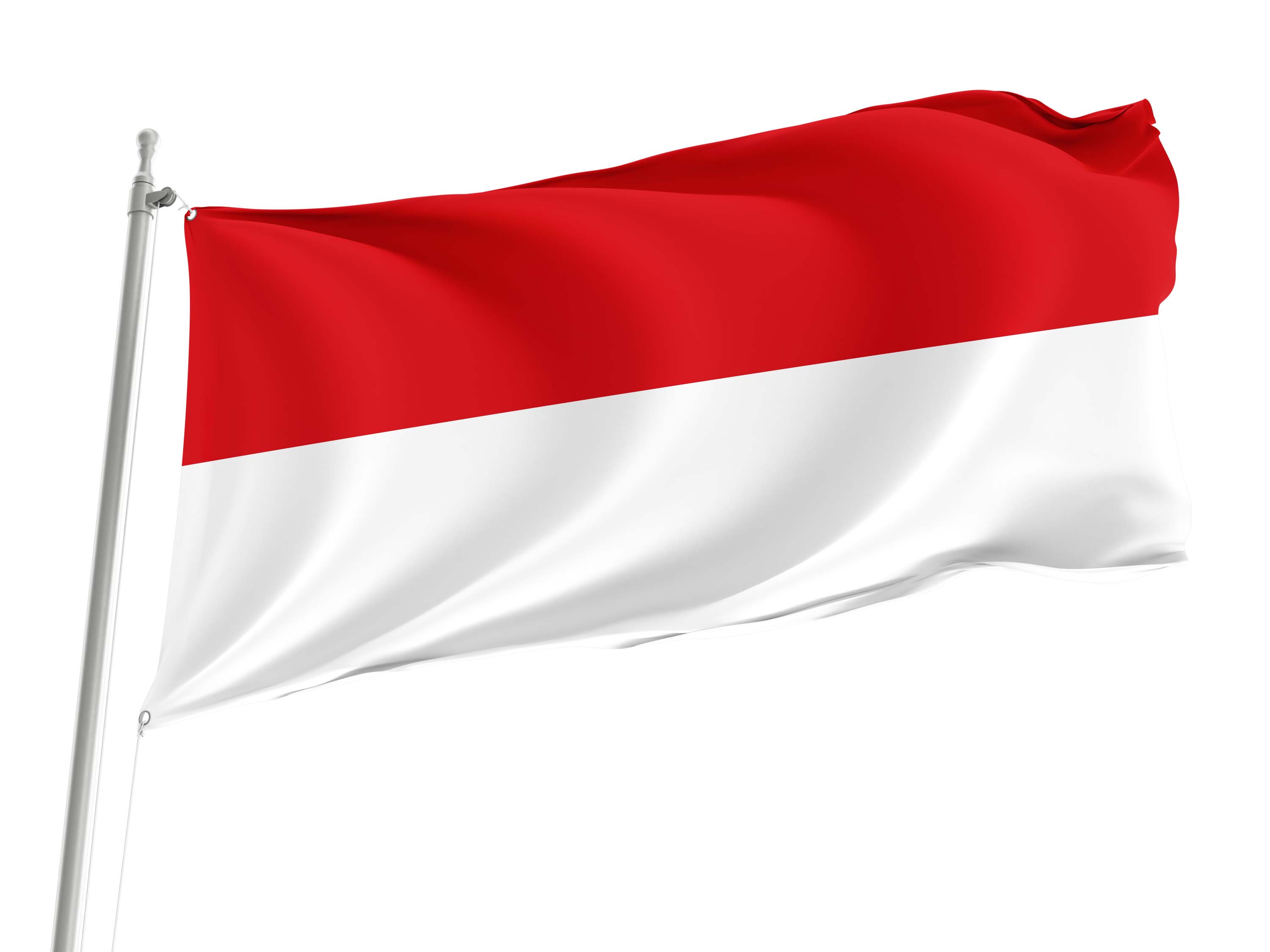 San Ramon,  Costa Rica Flag for Indoor & Outdoor Use