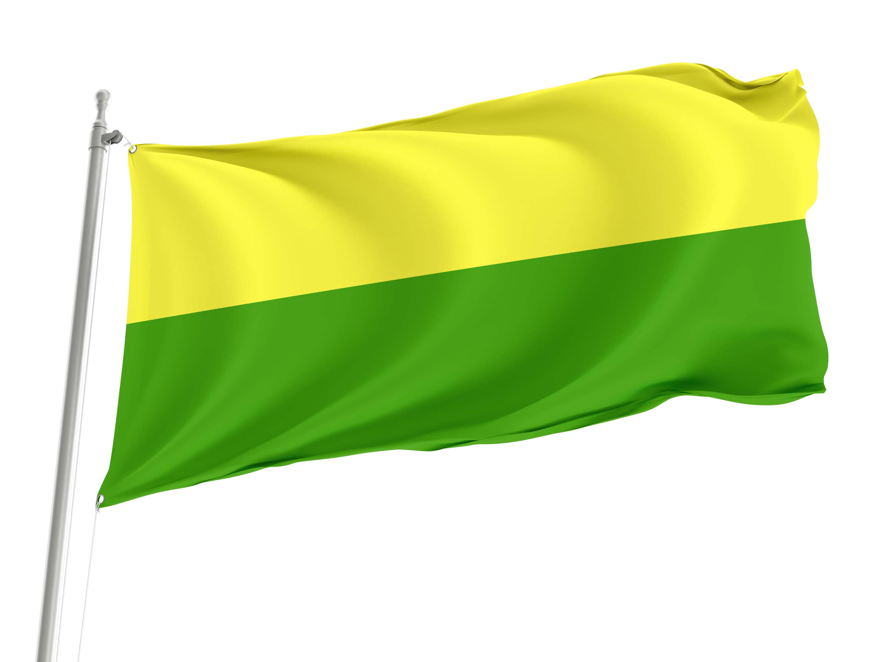 Cañas Flag for Indoor & Outdoor Use