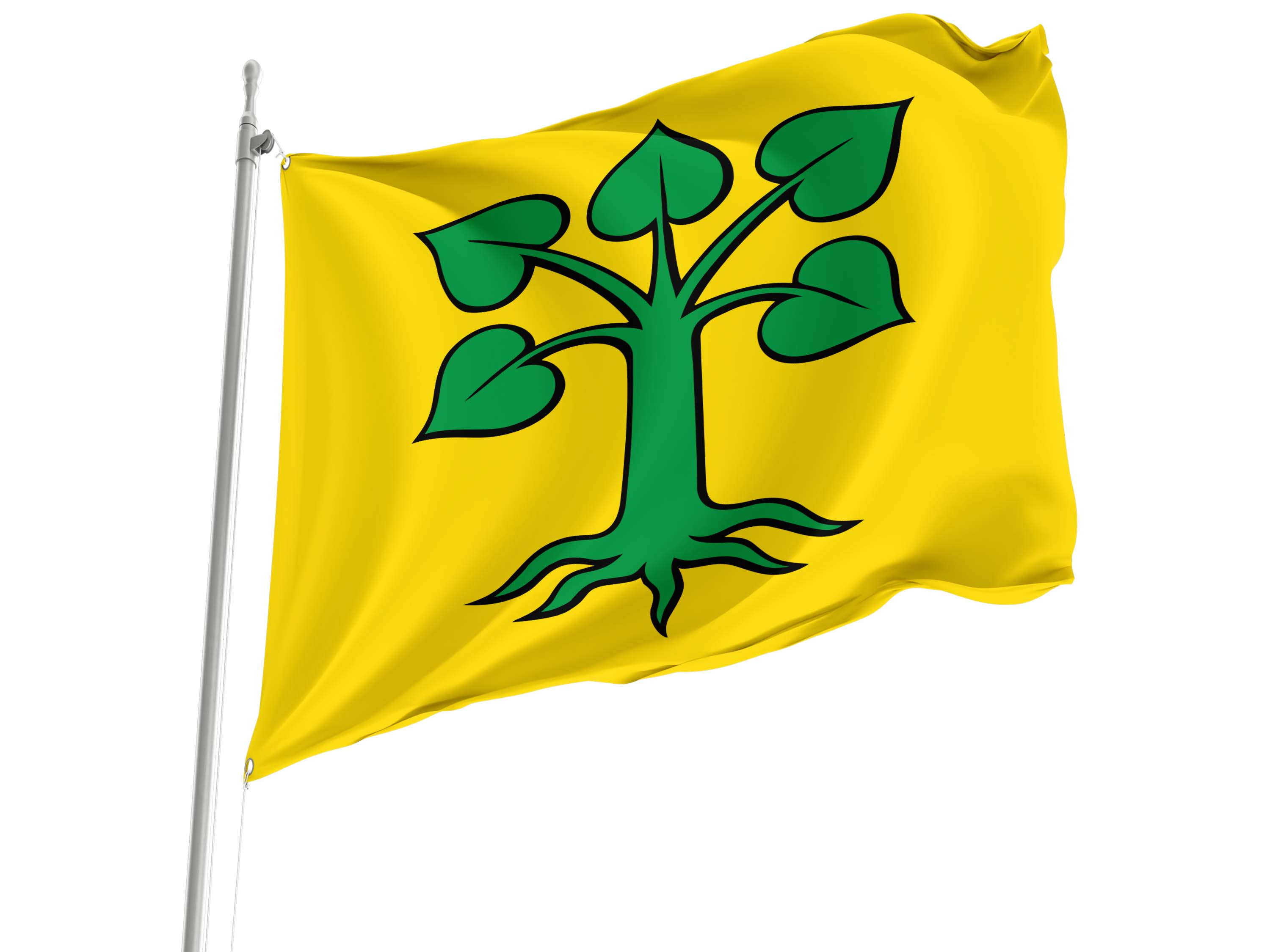 Beinwil (Freiamt) Flag for Indoor & Outdoor Use