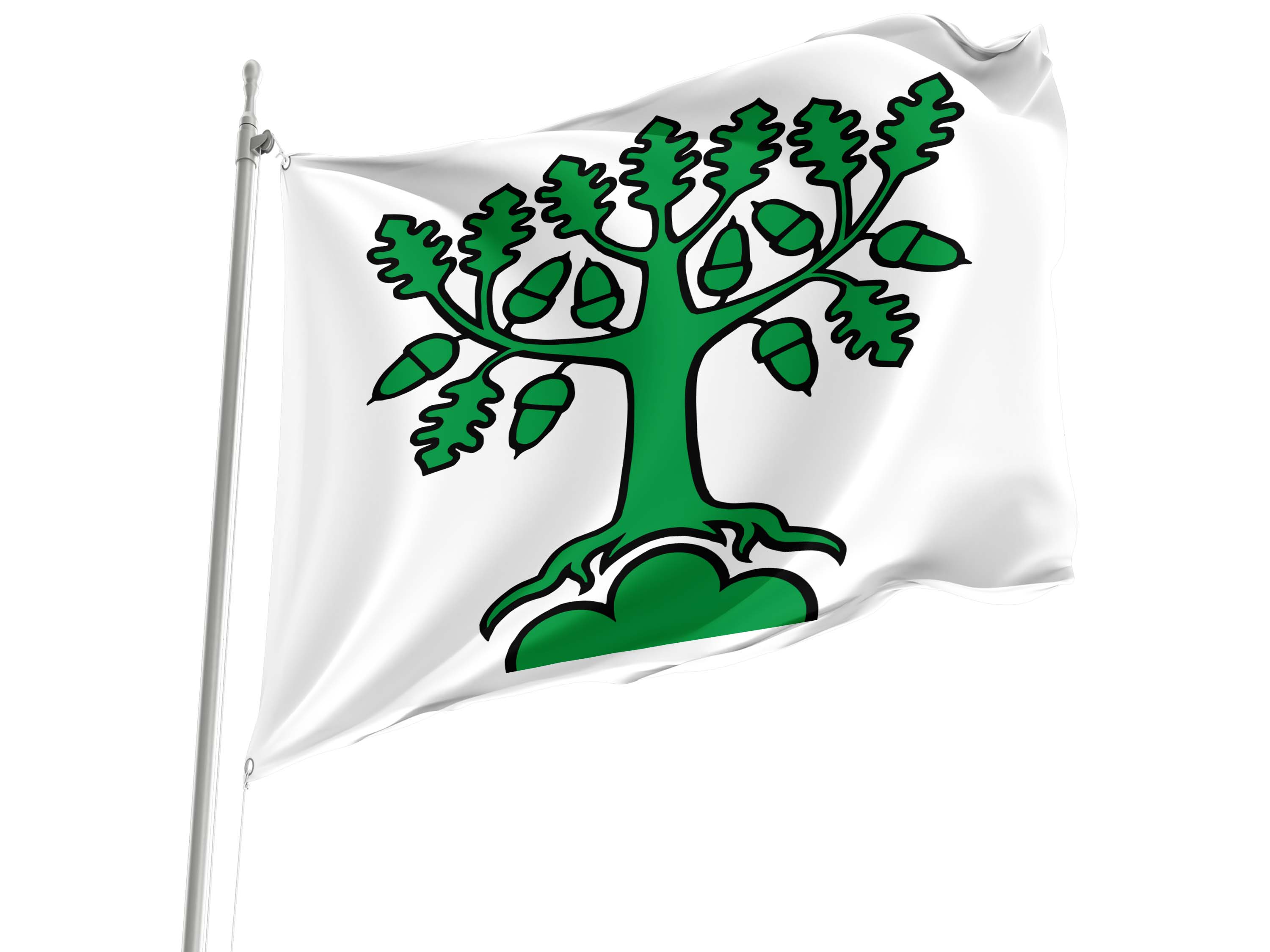 Bergdietikon Flag for Indoor & Outdoor Use