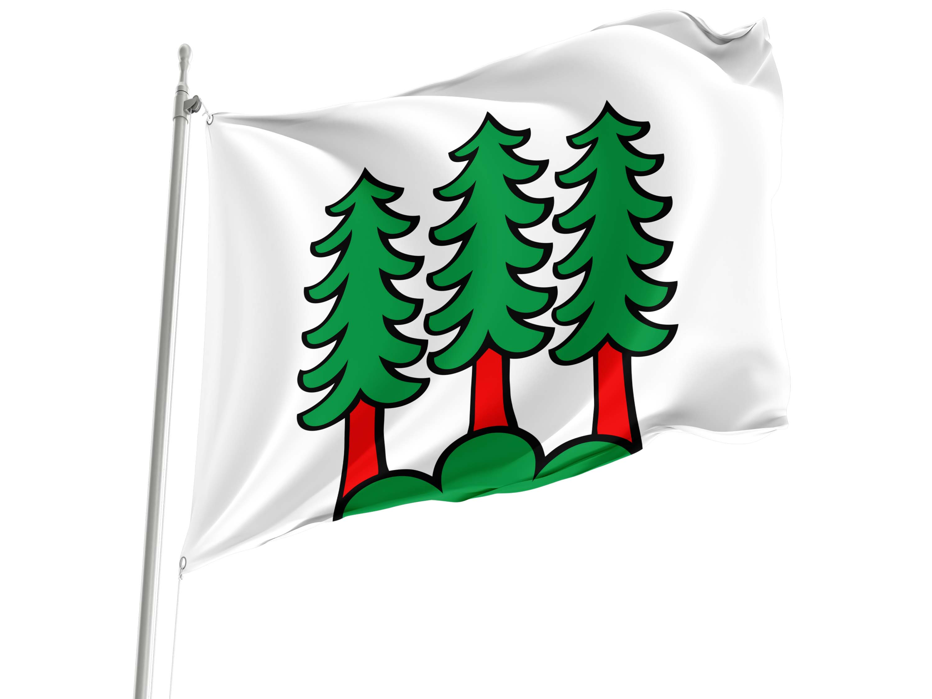 Bettwil Flag for Indoor & Outdoor Use