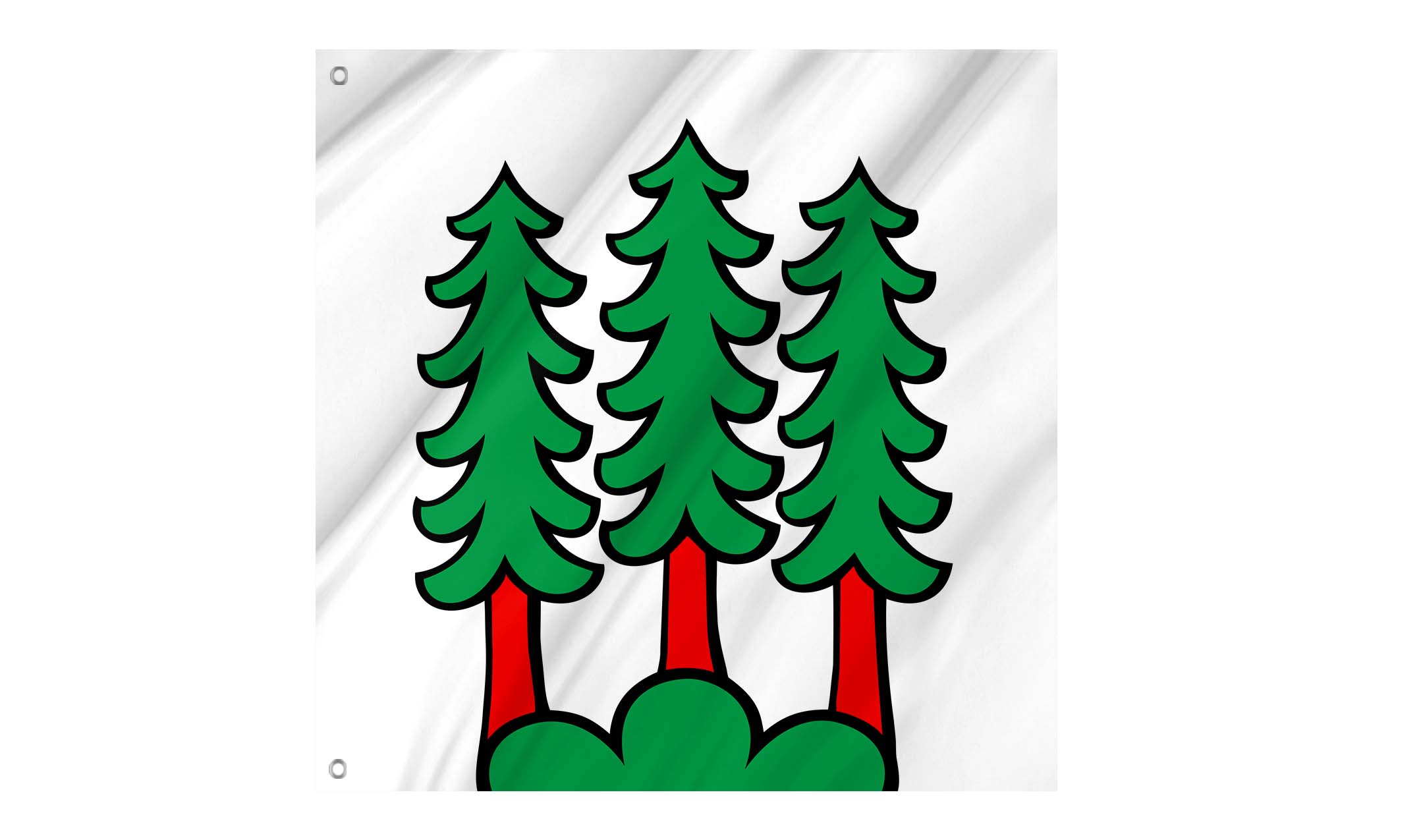 Bettwil Flag for Indoor & Outdoor Use