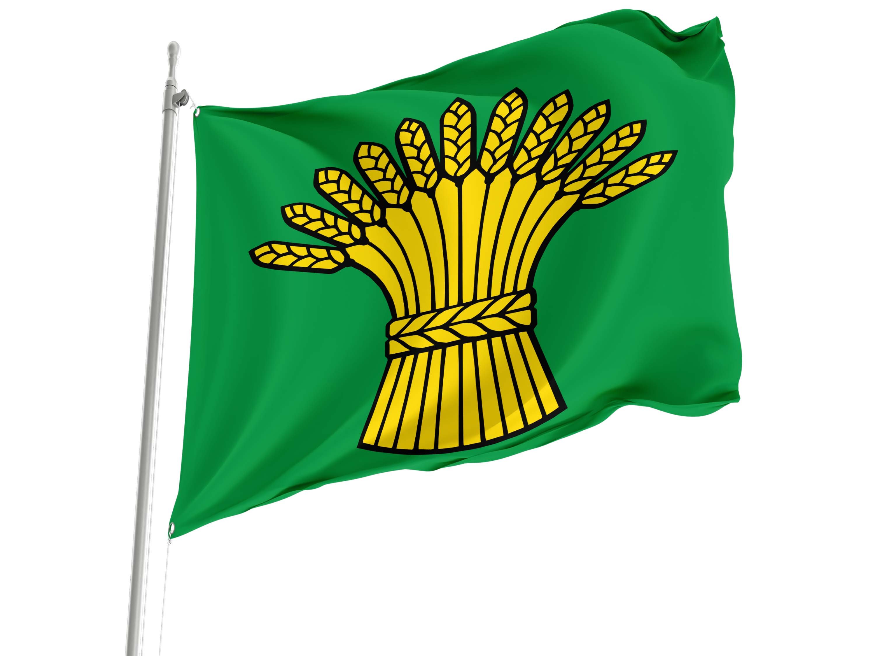 Birmenstorf Flag for Indoor & Outdoor Use
