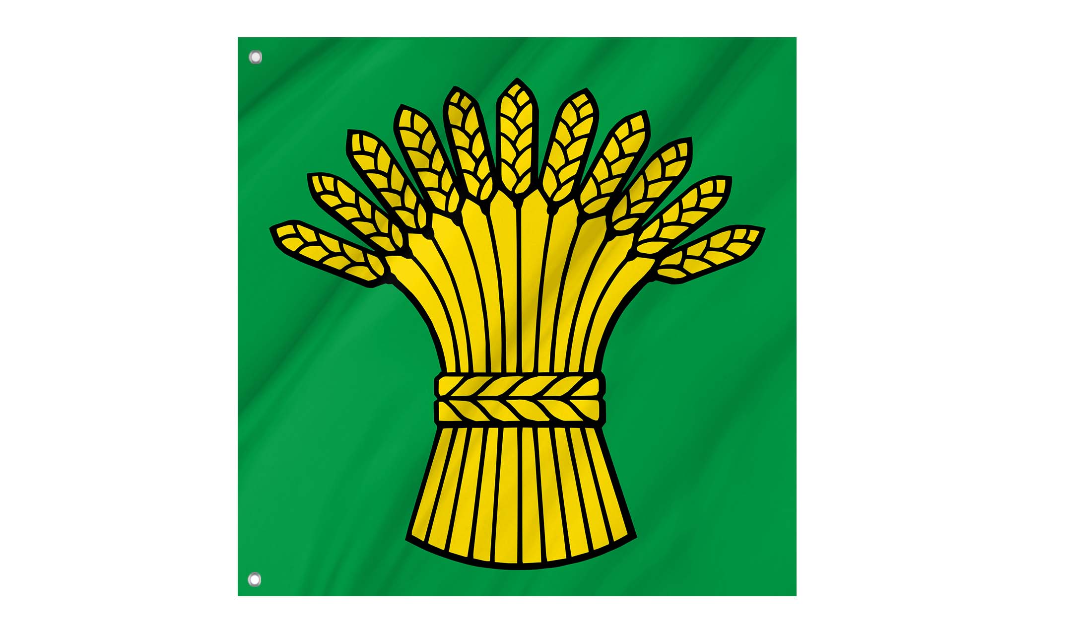Birmenstorf Flag for Indoor & Outdoor Use