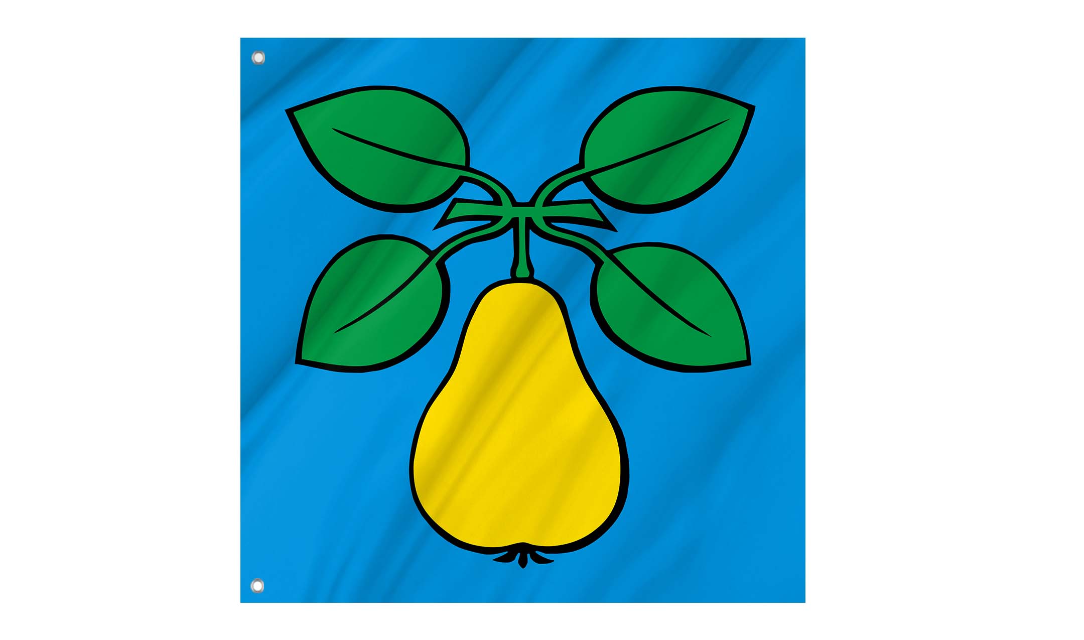Birr Flag for Indoor & Outdoor Use
