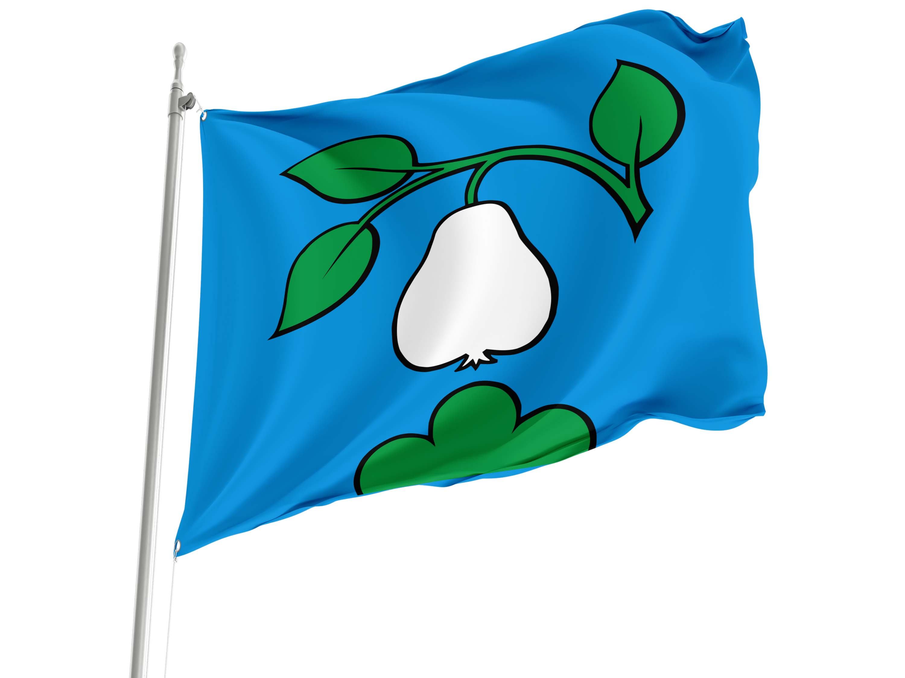 Birrwil Flag for Indoor & Outdoor Use