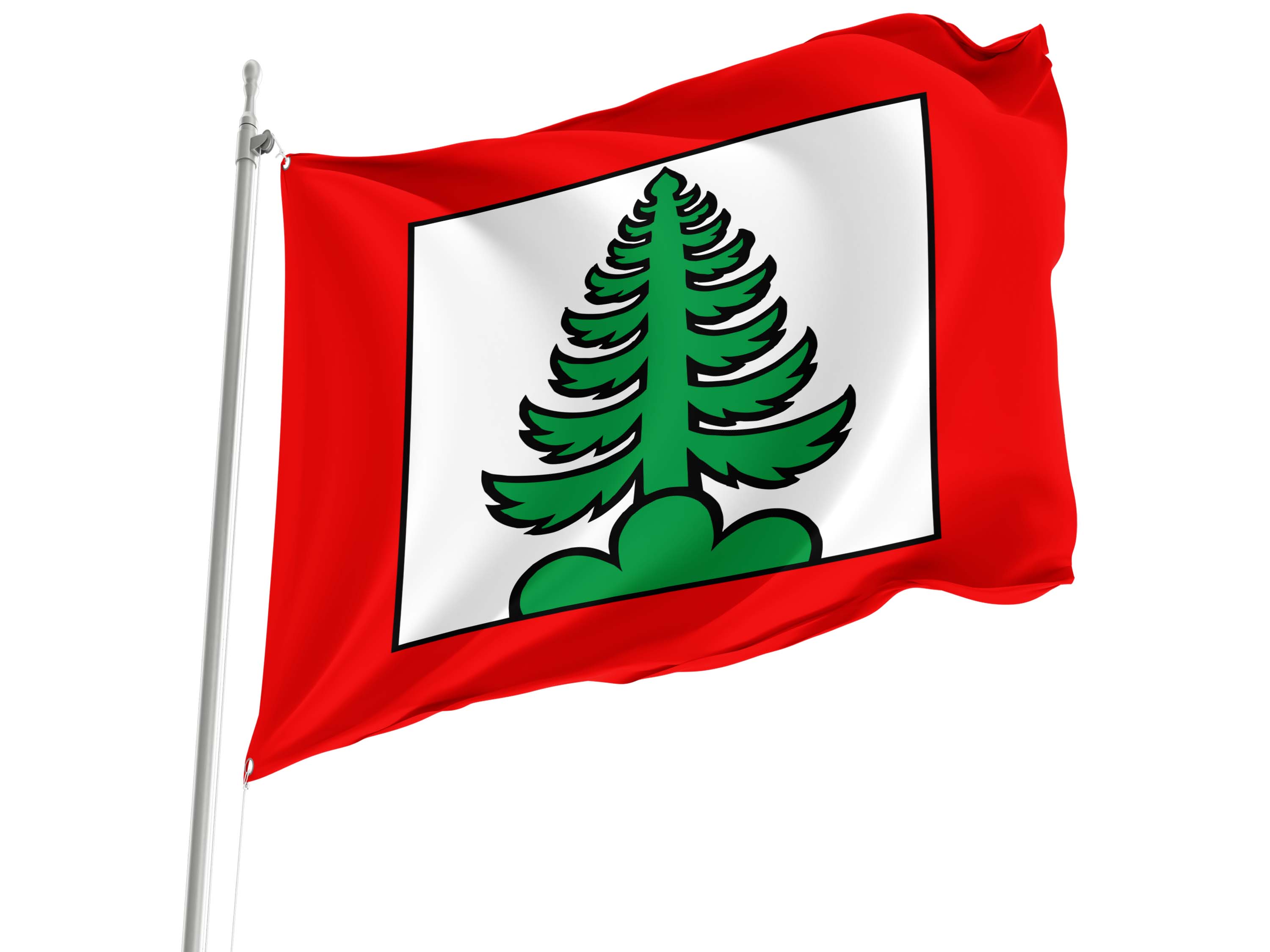 Densbüren Flag for Indoor & Outdoor Use