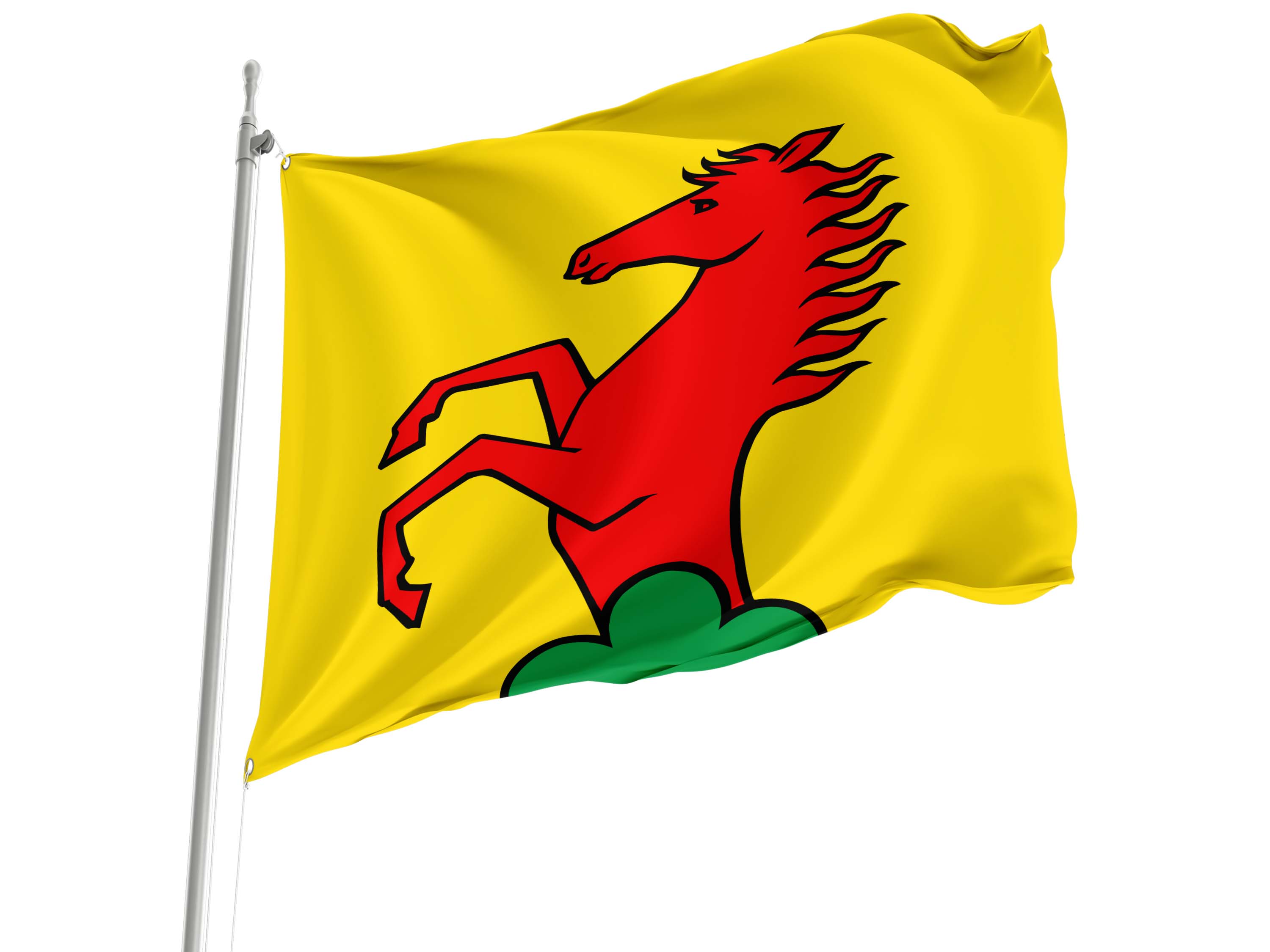 Dottikon Flag for Indoor & Outdoor Use