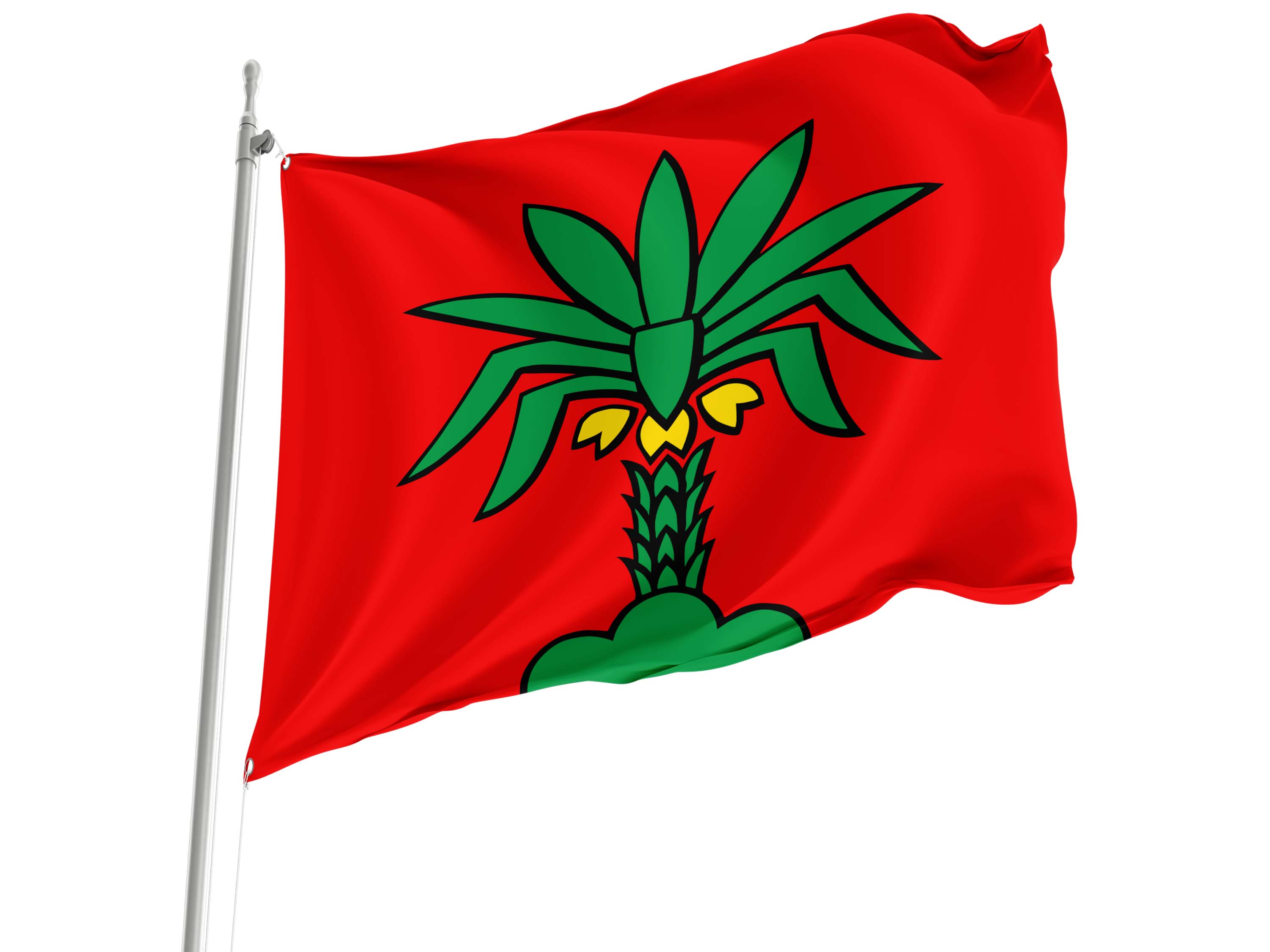 Hallwil Flag for Indoor & Outdoor Use