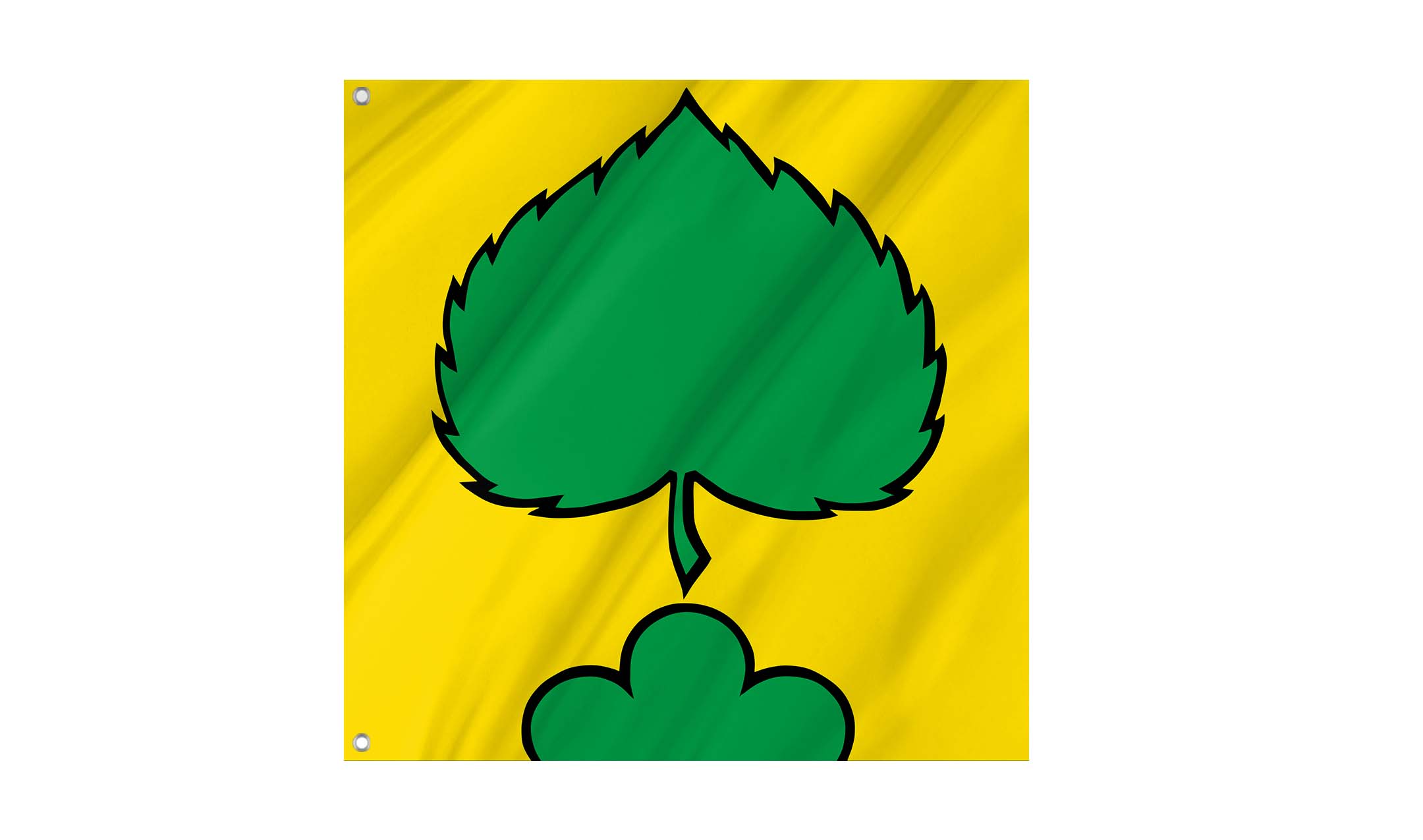 Niederlenz Flag for Indoor & Outdoor Use
