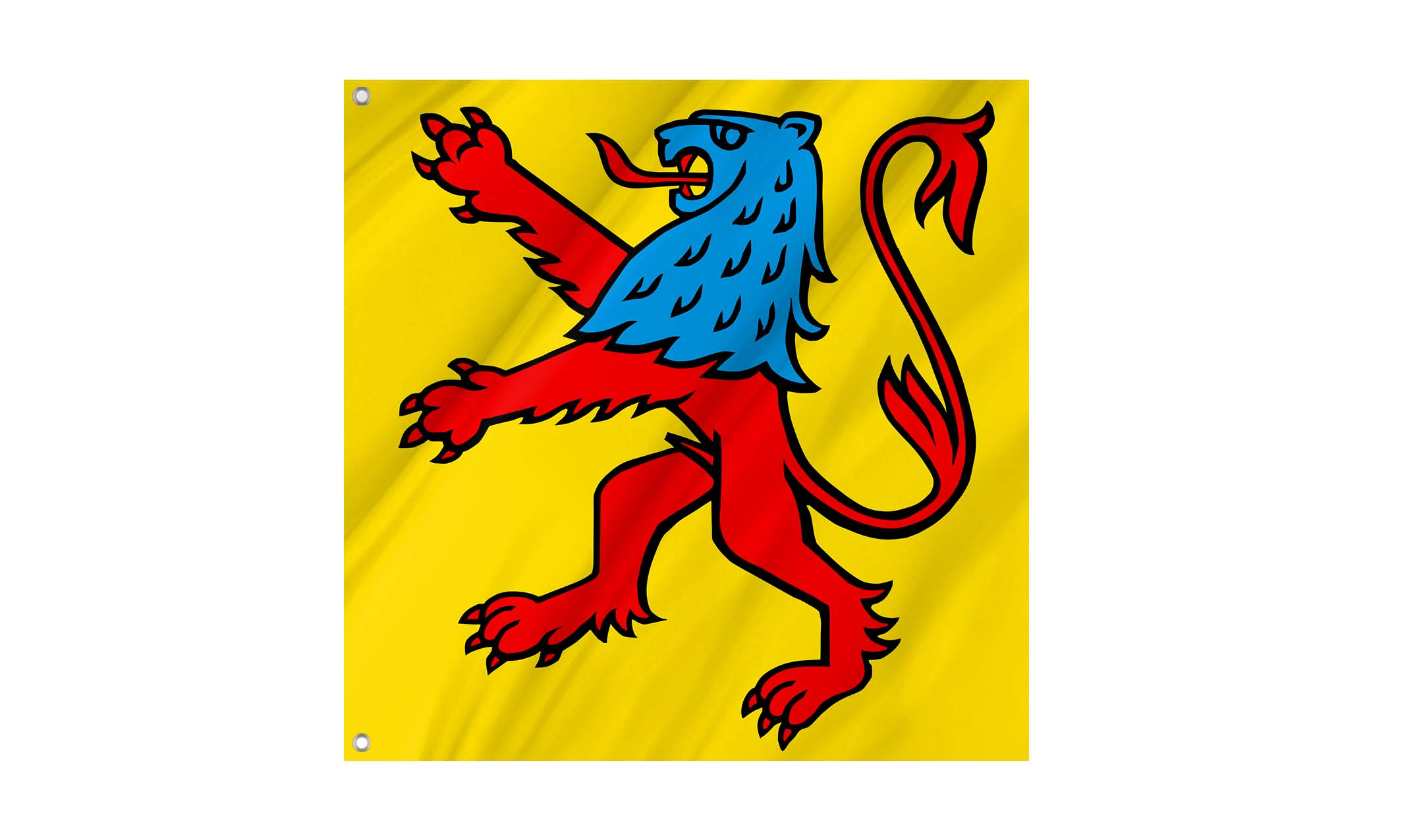 Reinach Flag for Indoor & Outdoor Use