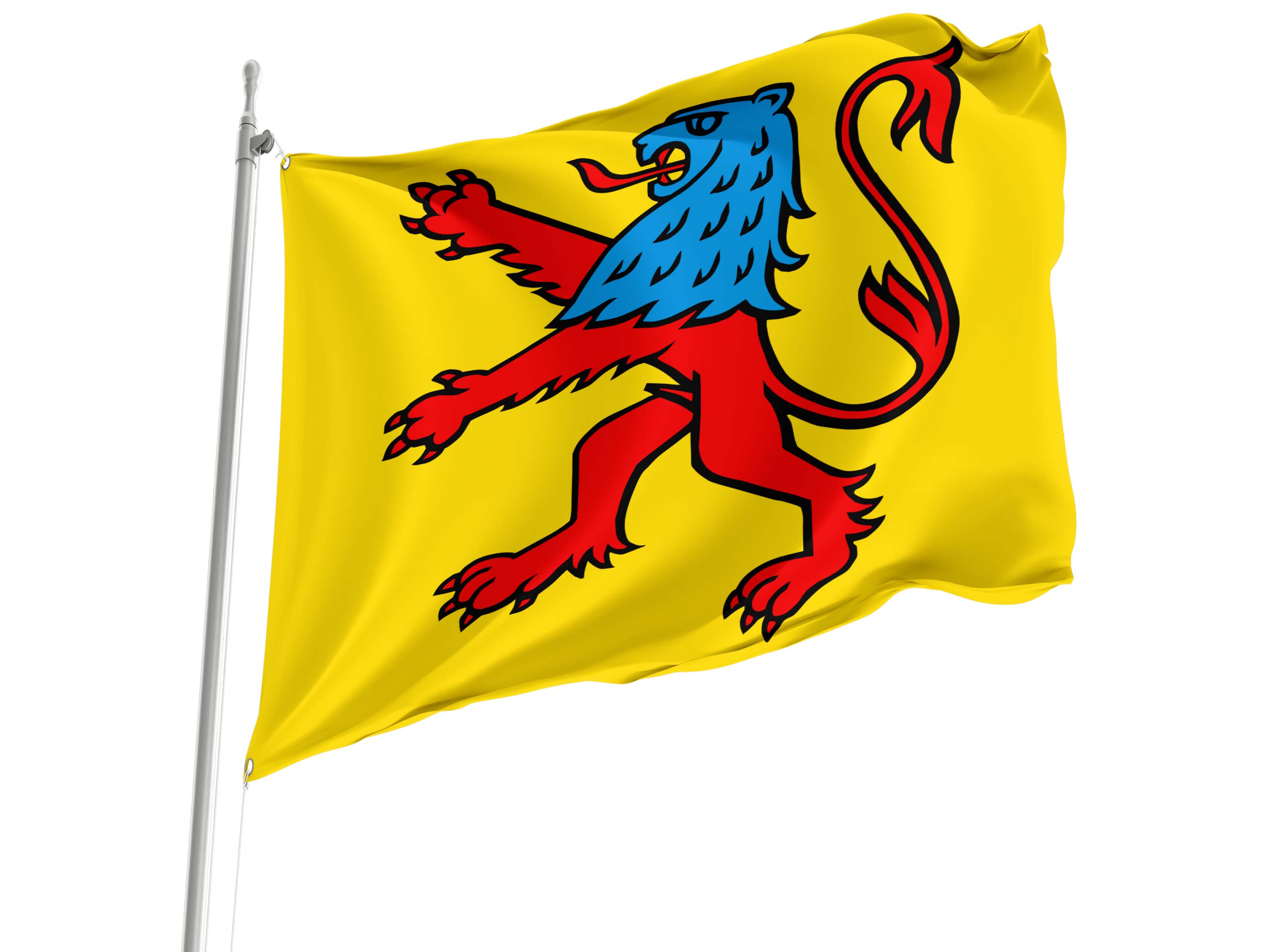 Reinach Flag for Indoor & Outdoor Use