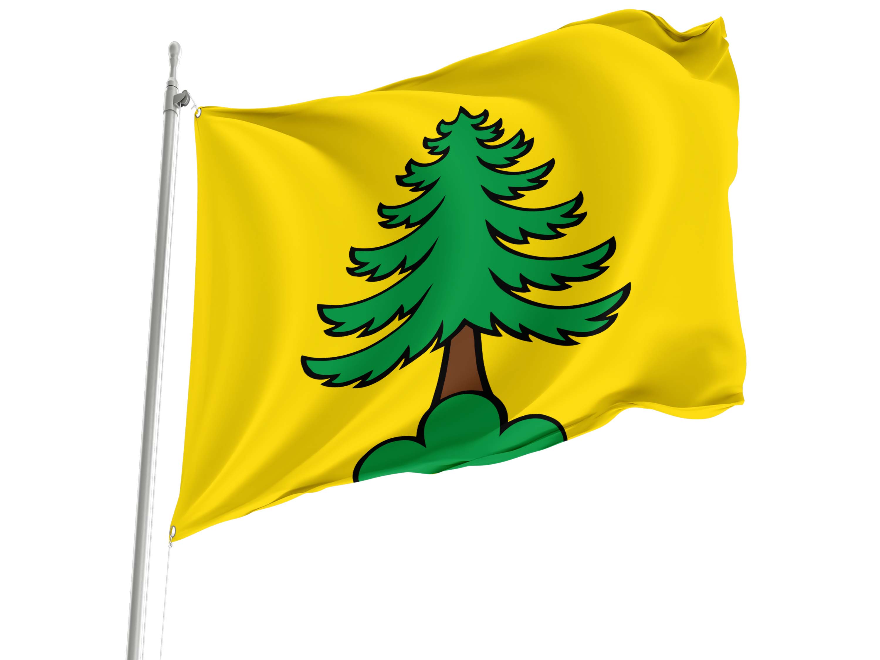 Riniken Flag for Indoor & Outdoor Use