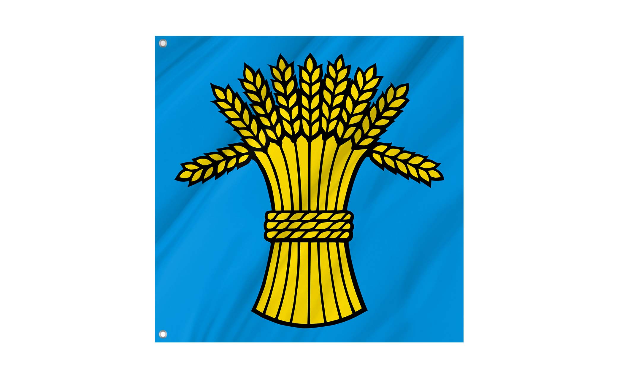 Rüfenach Flag for Indoor & Outdoor Use