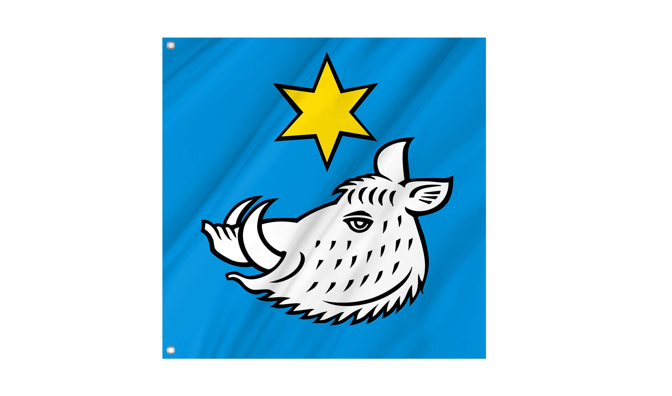 Safenwil Flag for Indoor & Outdoor Use