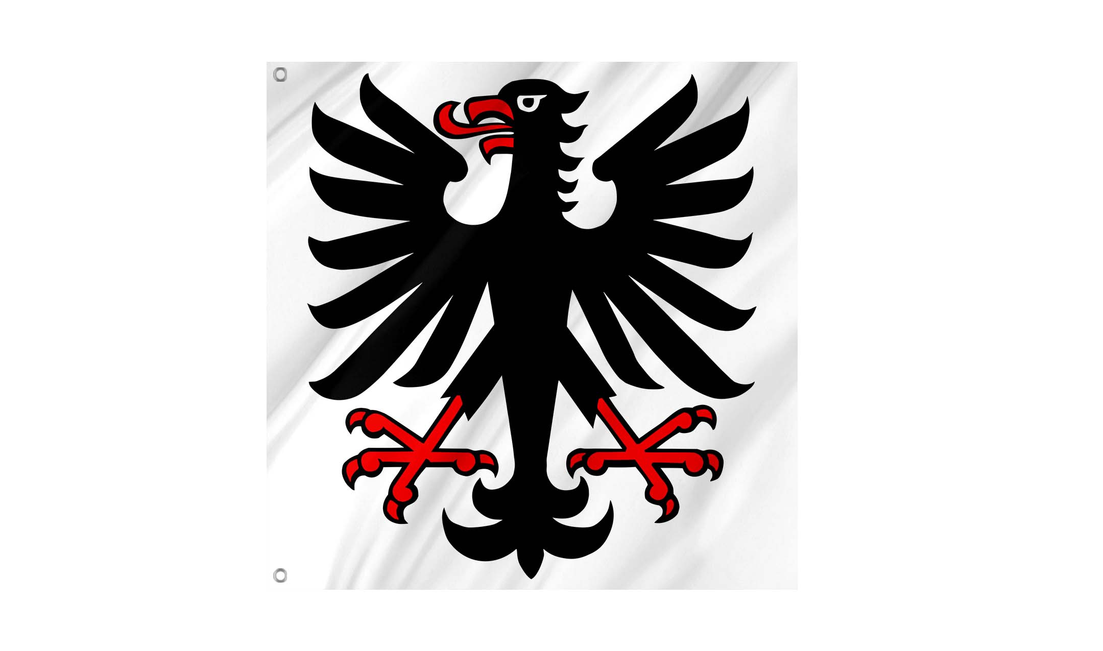 Seengen Flag for Indoor & Outdoor Use