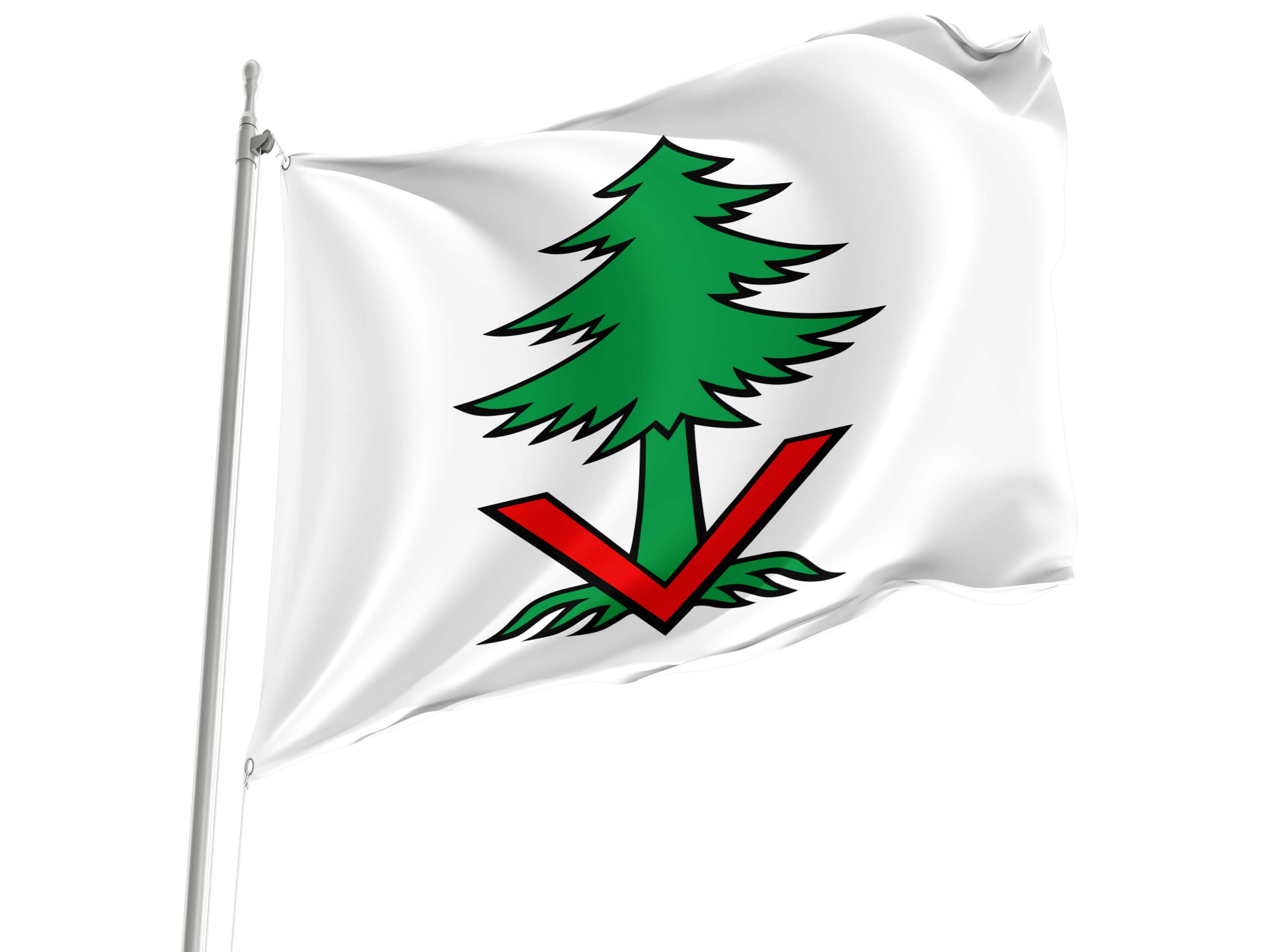 Vordemwald Flag for Indoor & Outdoor Use