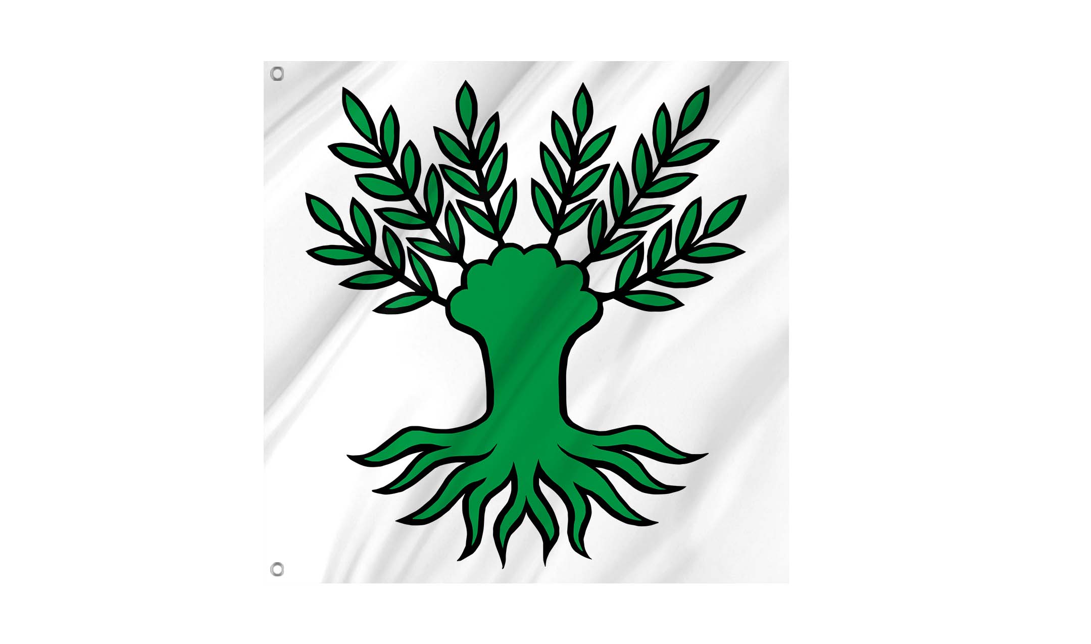 Widen Flag for Indoor & Outdoor Use