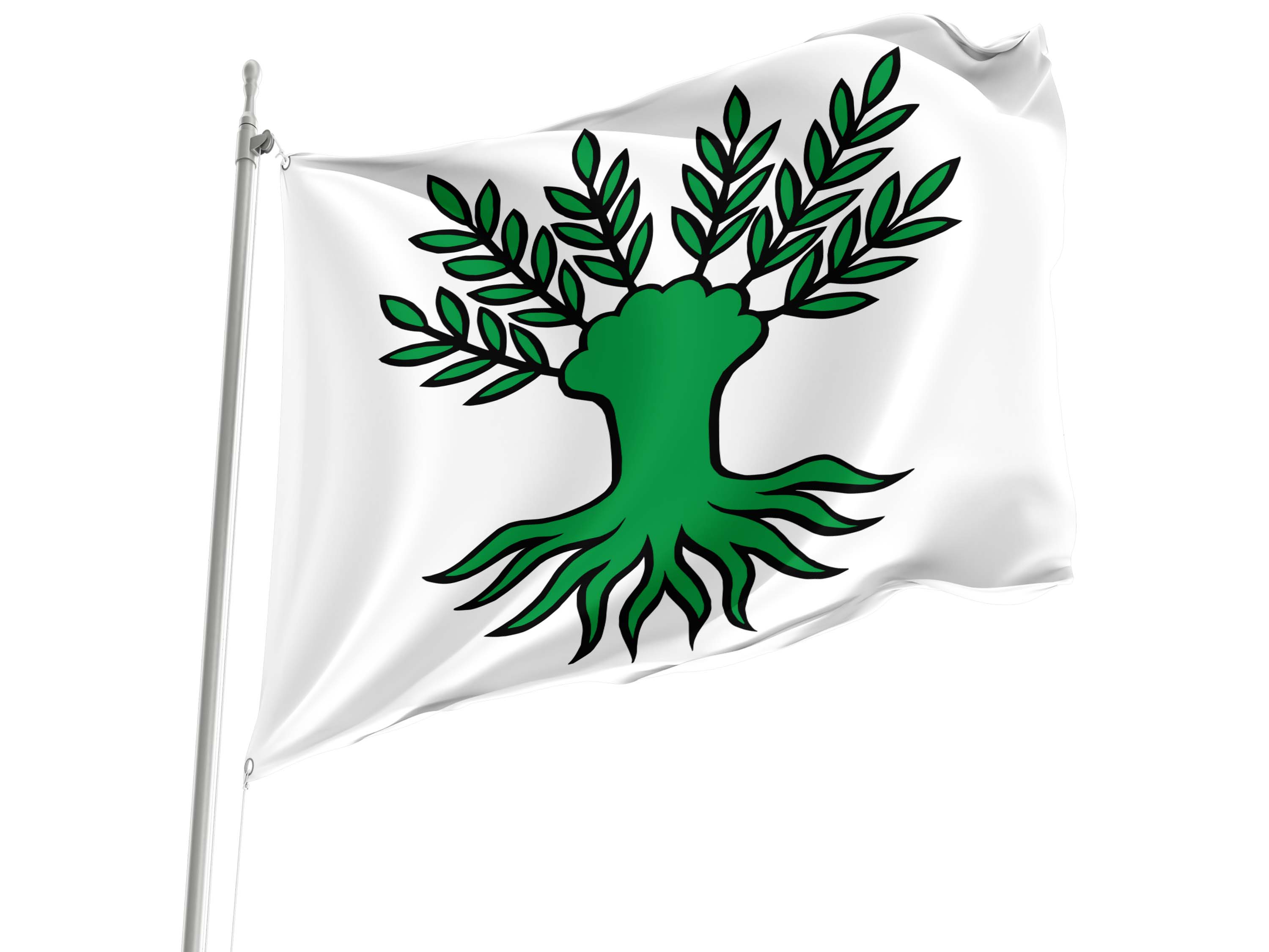 Widen Flag for Indoor & Outdoor Use