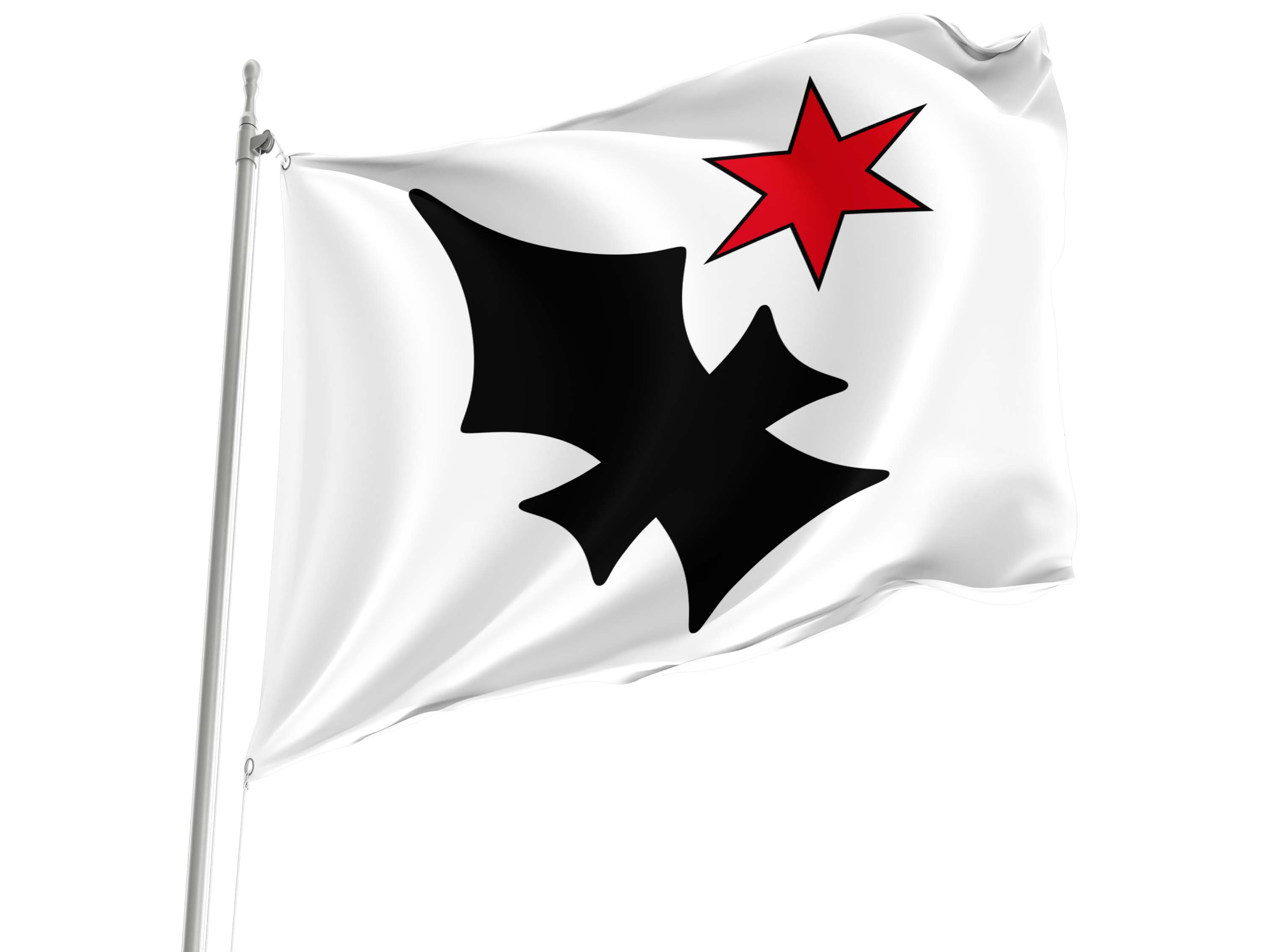 Aesch Flag for Indoor & Outdoor Use