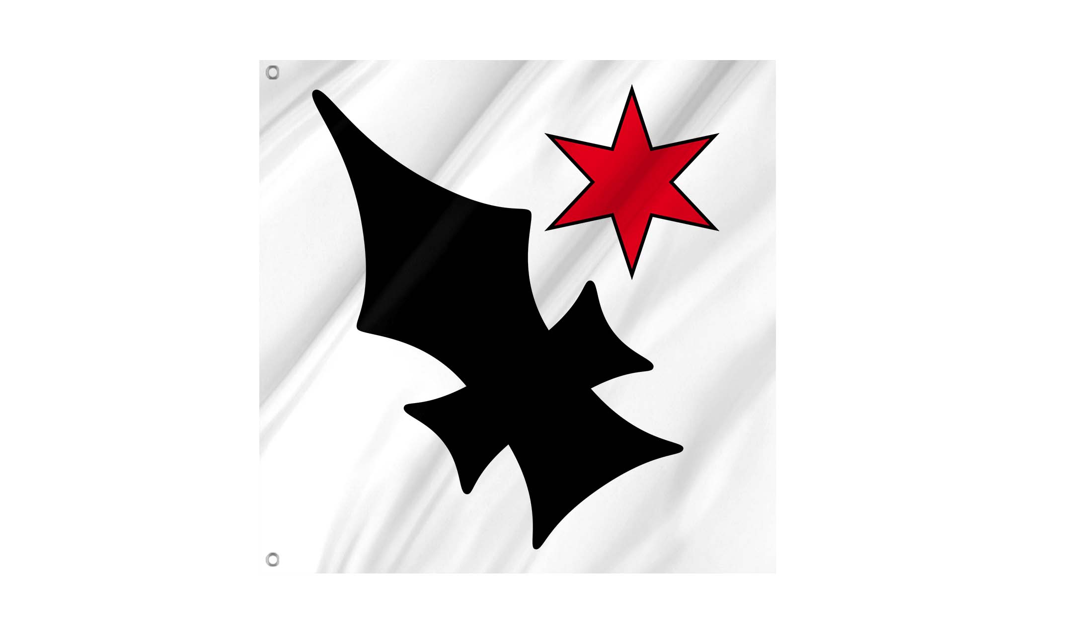 Aesch Flag for Indoor & Outdoor Use