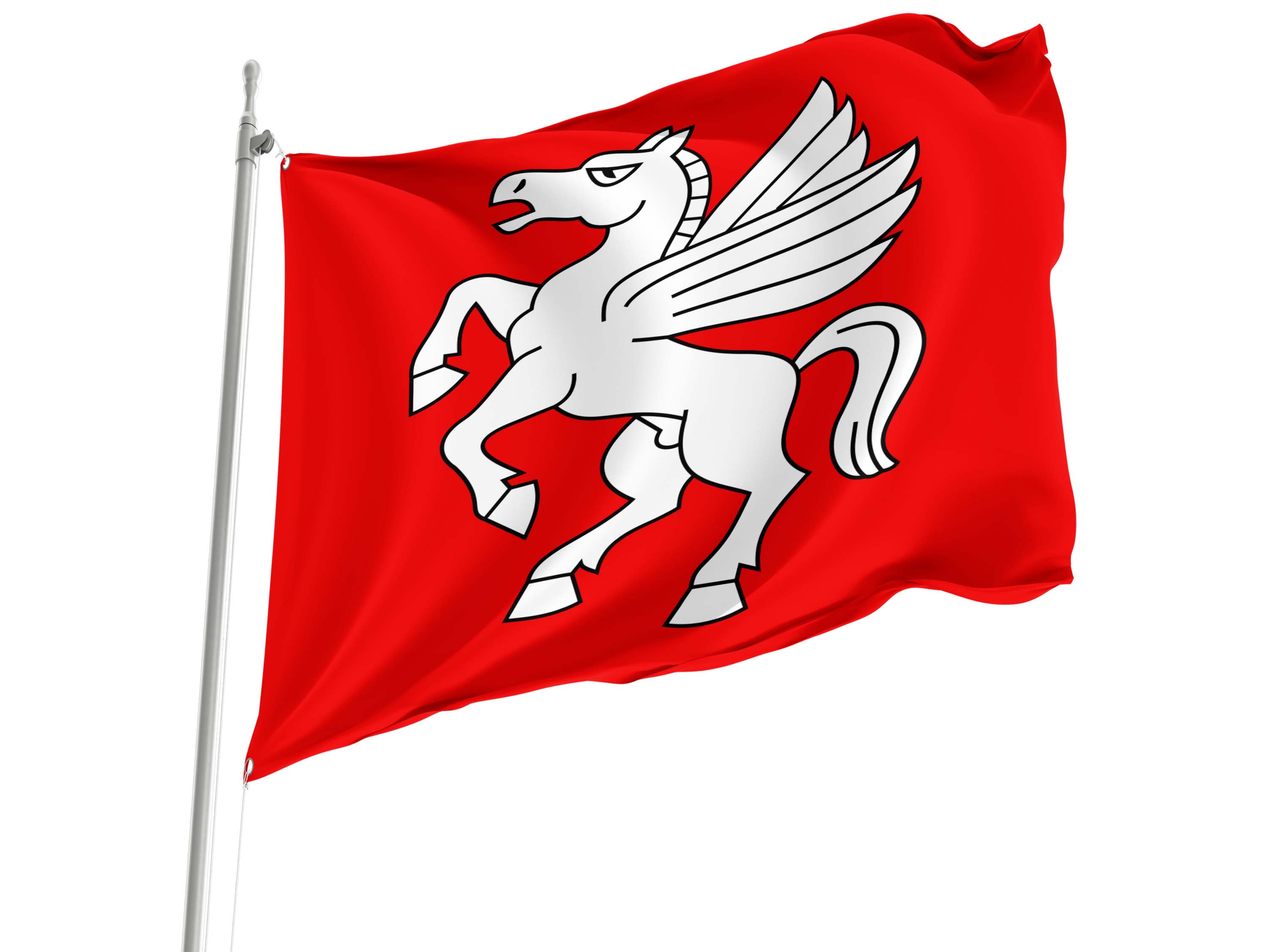 Bargen Flag for Indoor & Outdoor Use