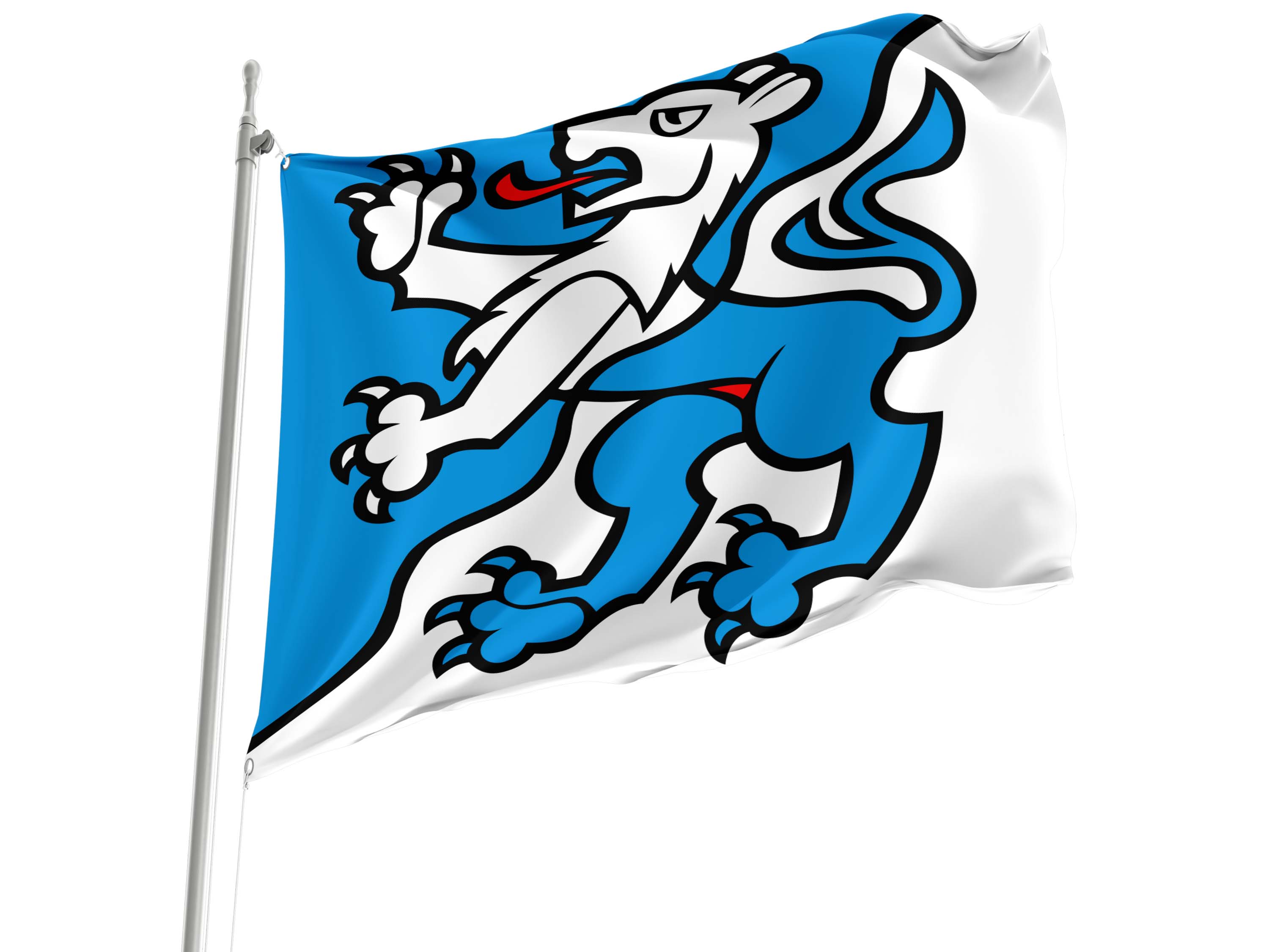 Brienz Flag for Indoor & Outdoor Use