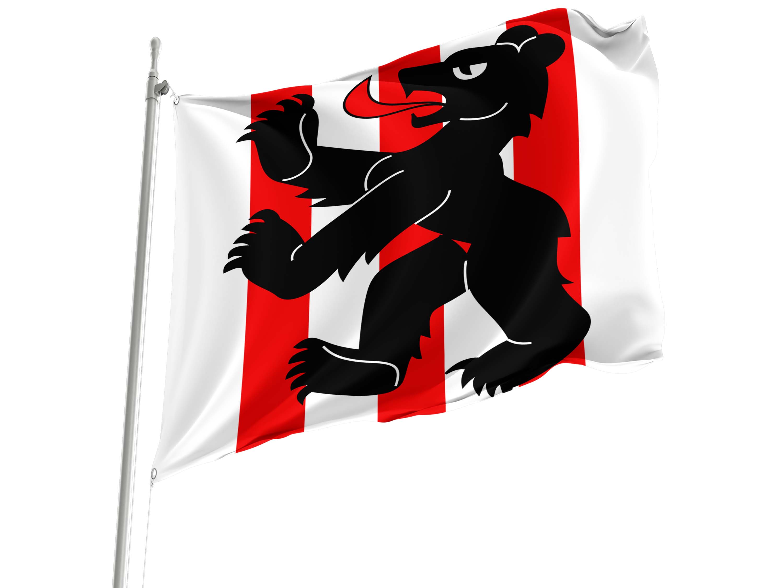 Bäriswil Flag for Indoor & Outdoor Use