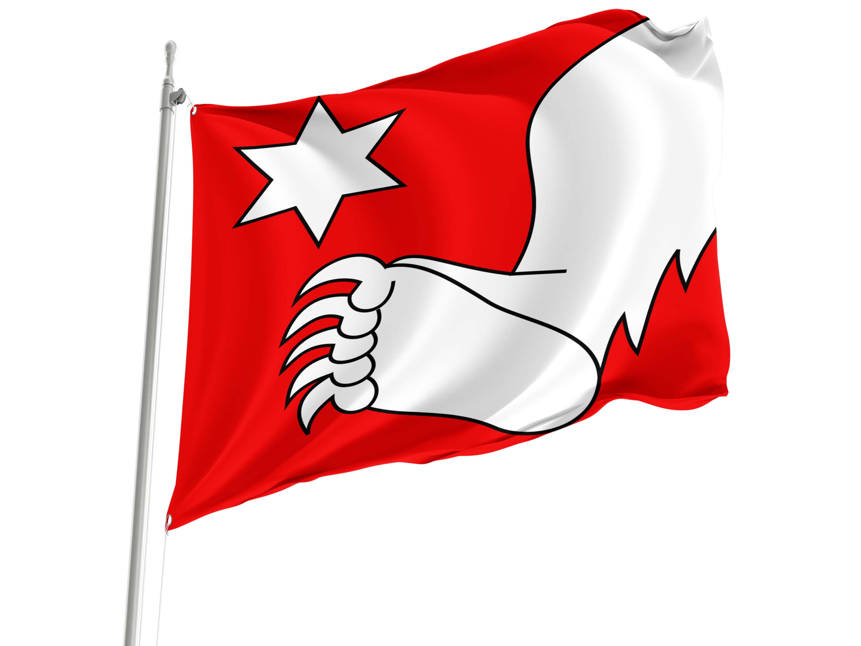 Büetigen Flag for Indoor & Outdoor Use