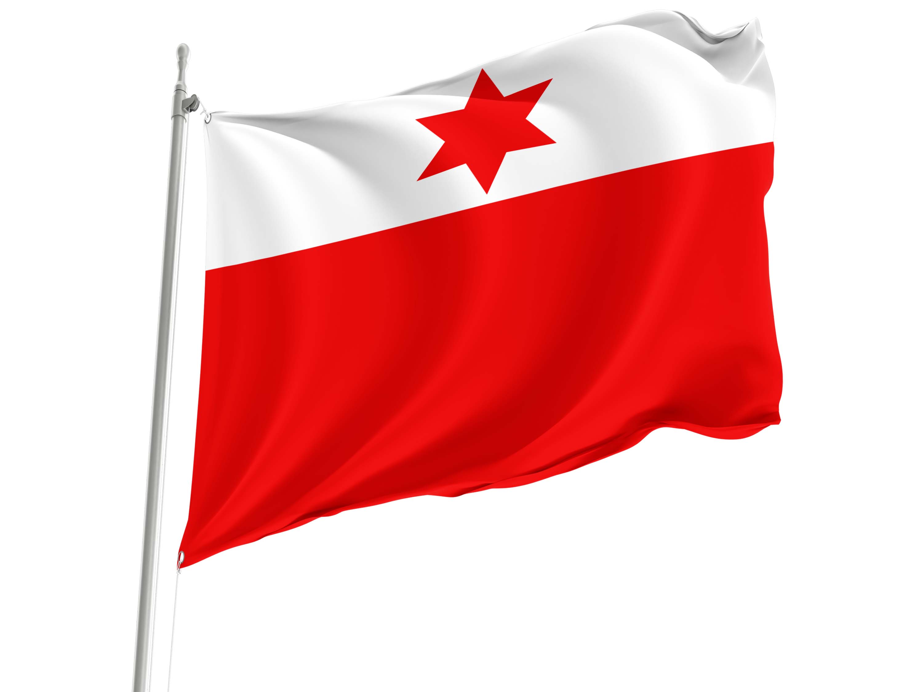 Dotzigen Flag for Indoor & Outdoor Use