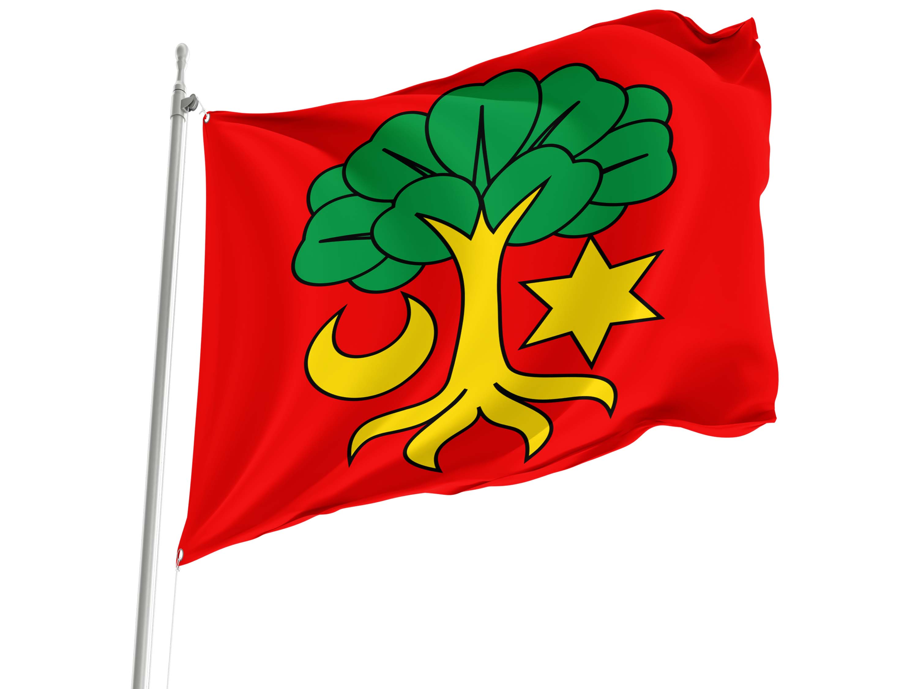 Erlach Flag for Indoor & Outdoor Use