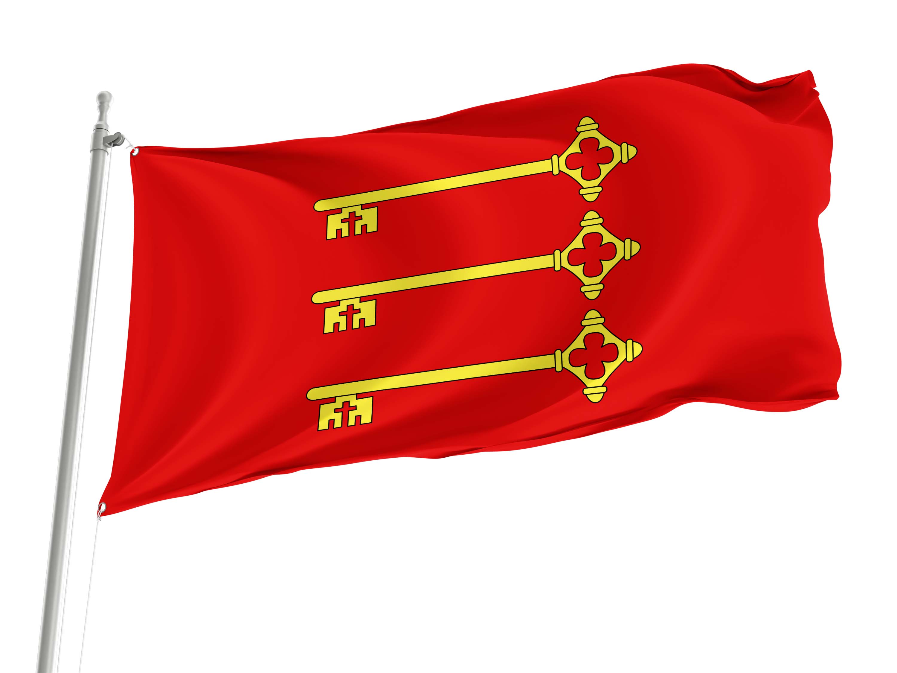Avignon Flag for Indoor & Outdoor Use