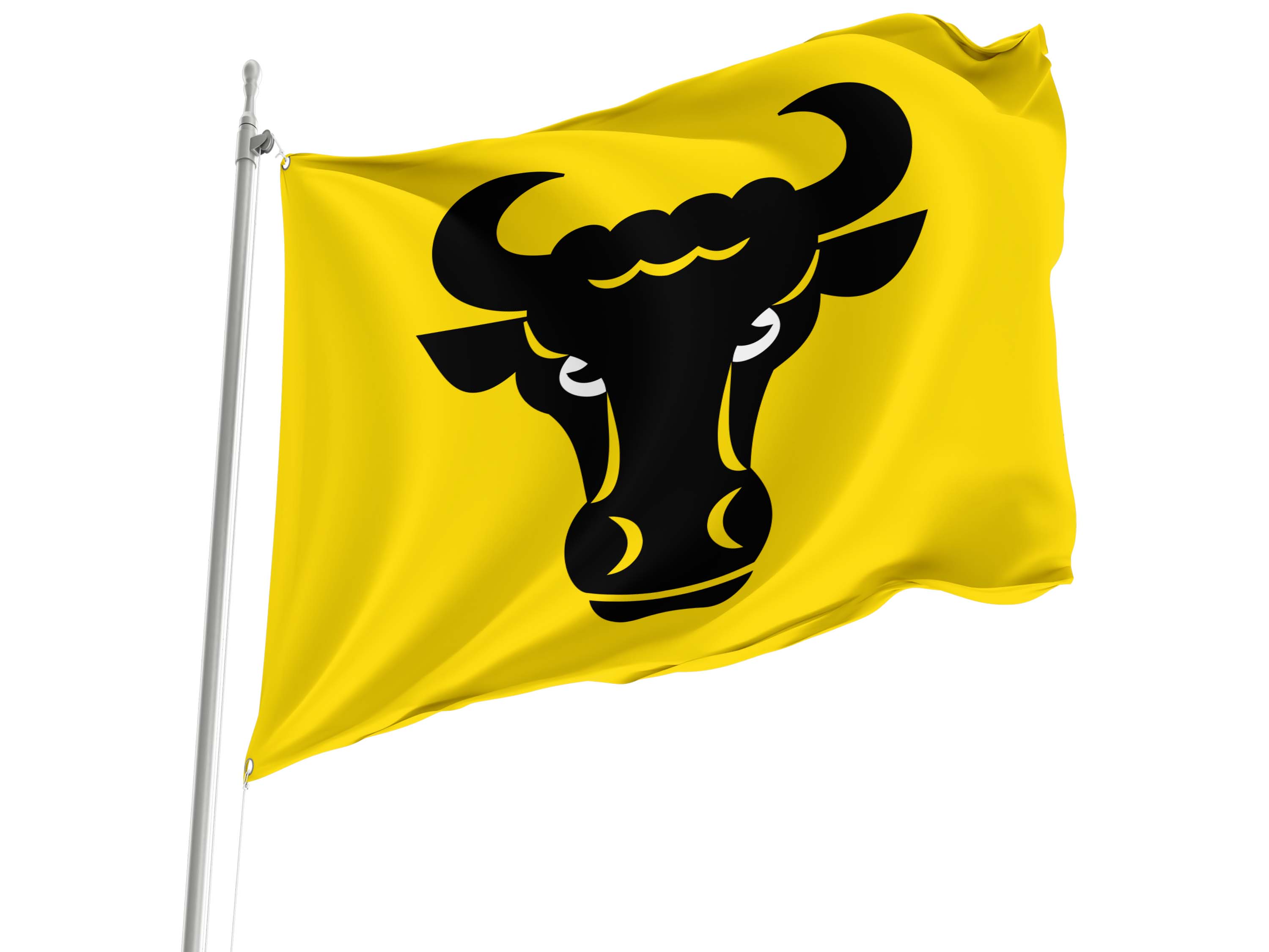 Evilard Flag for Indoor & Outdoor Use