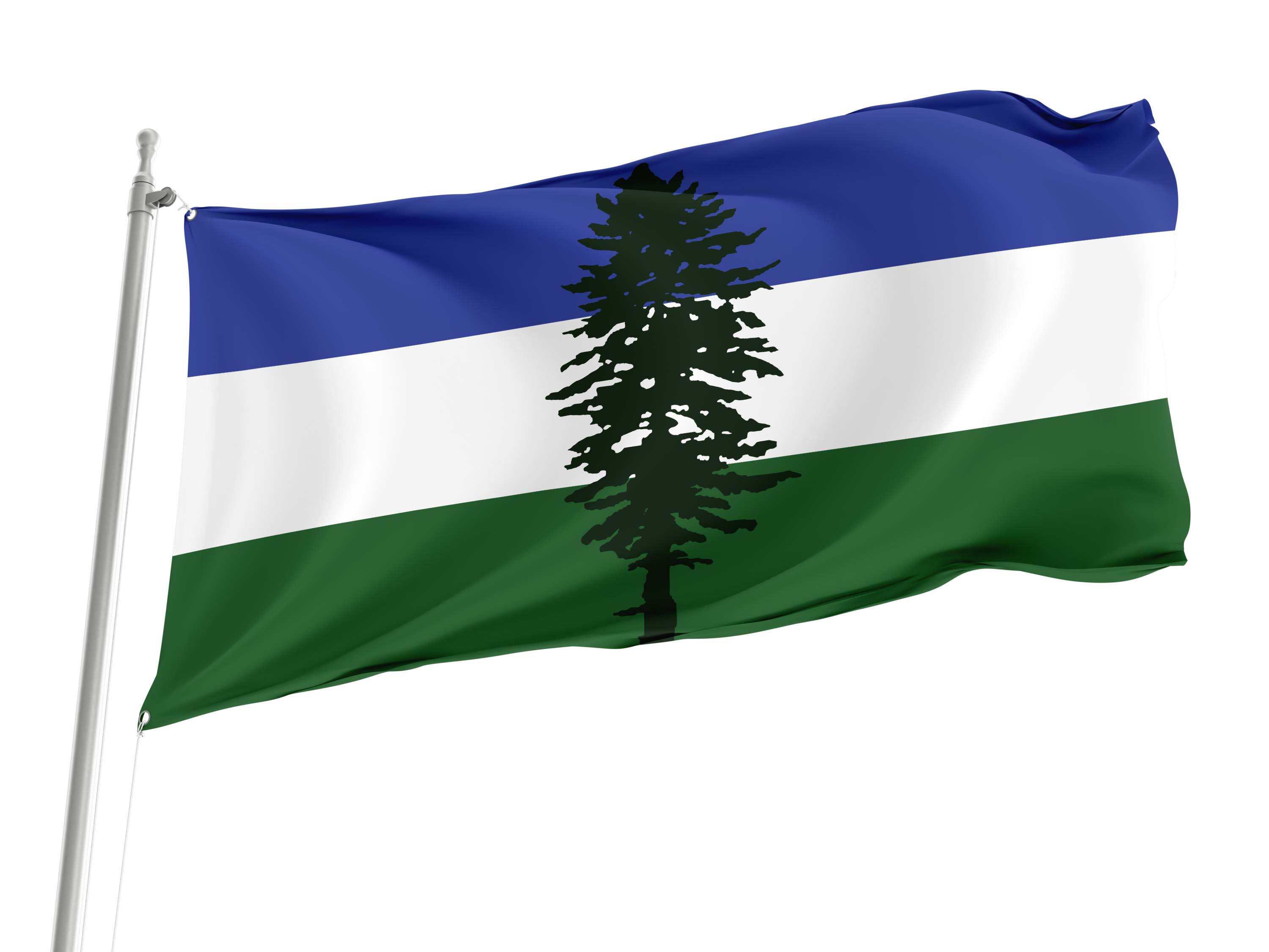 Cascadia Flag for Indoor & Outdoor Use