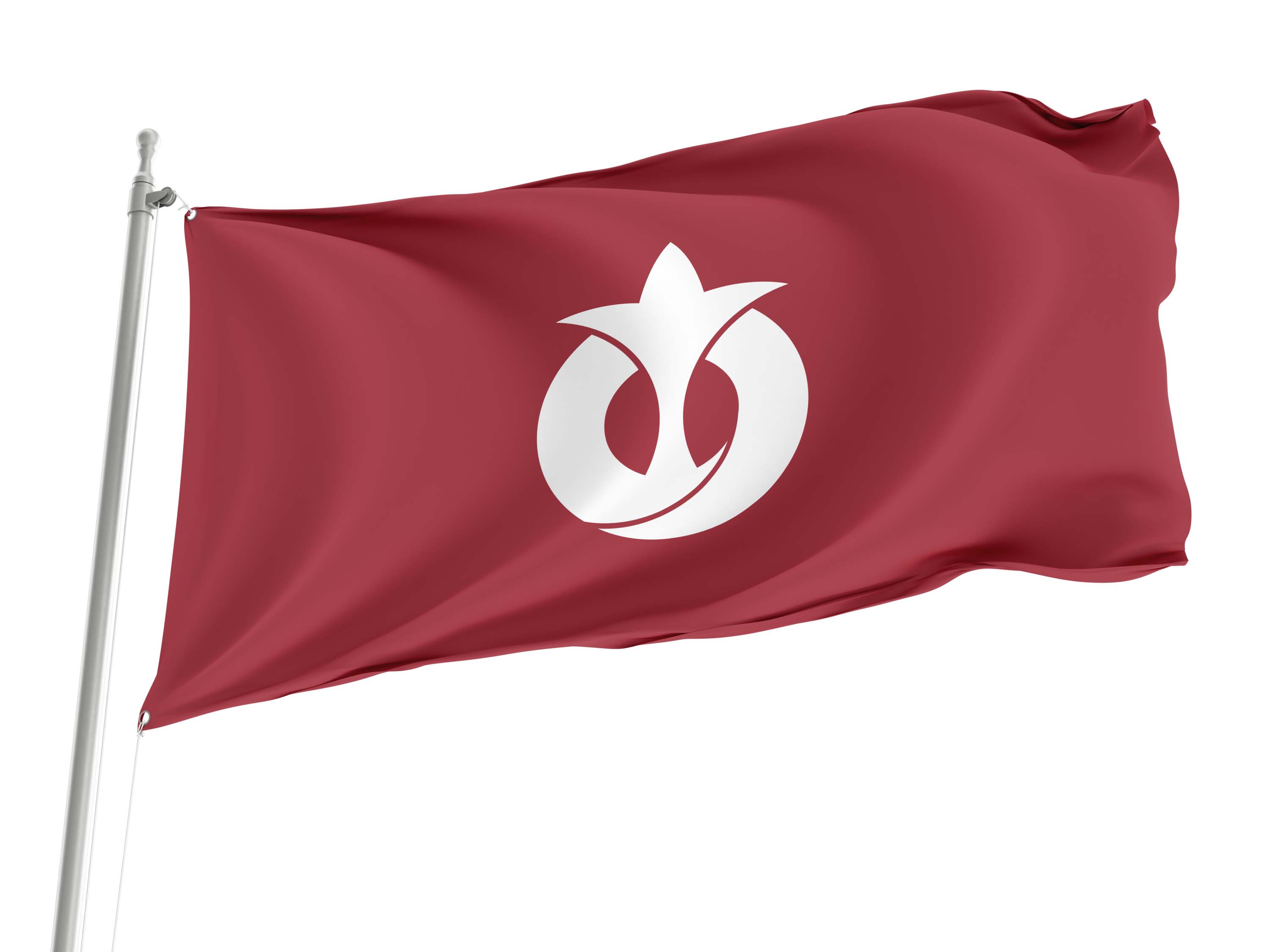 Aichi Prefecture Flag for Indoor & Outdoor Use