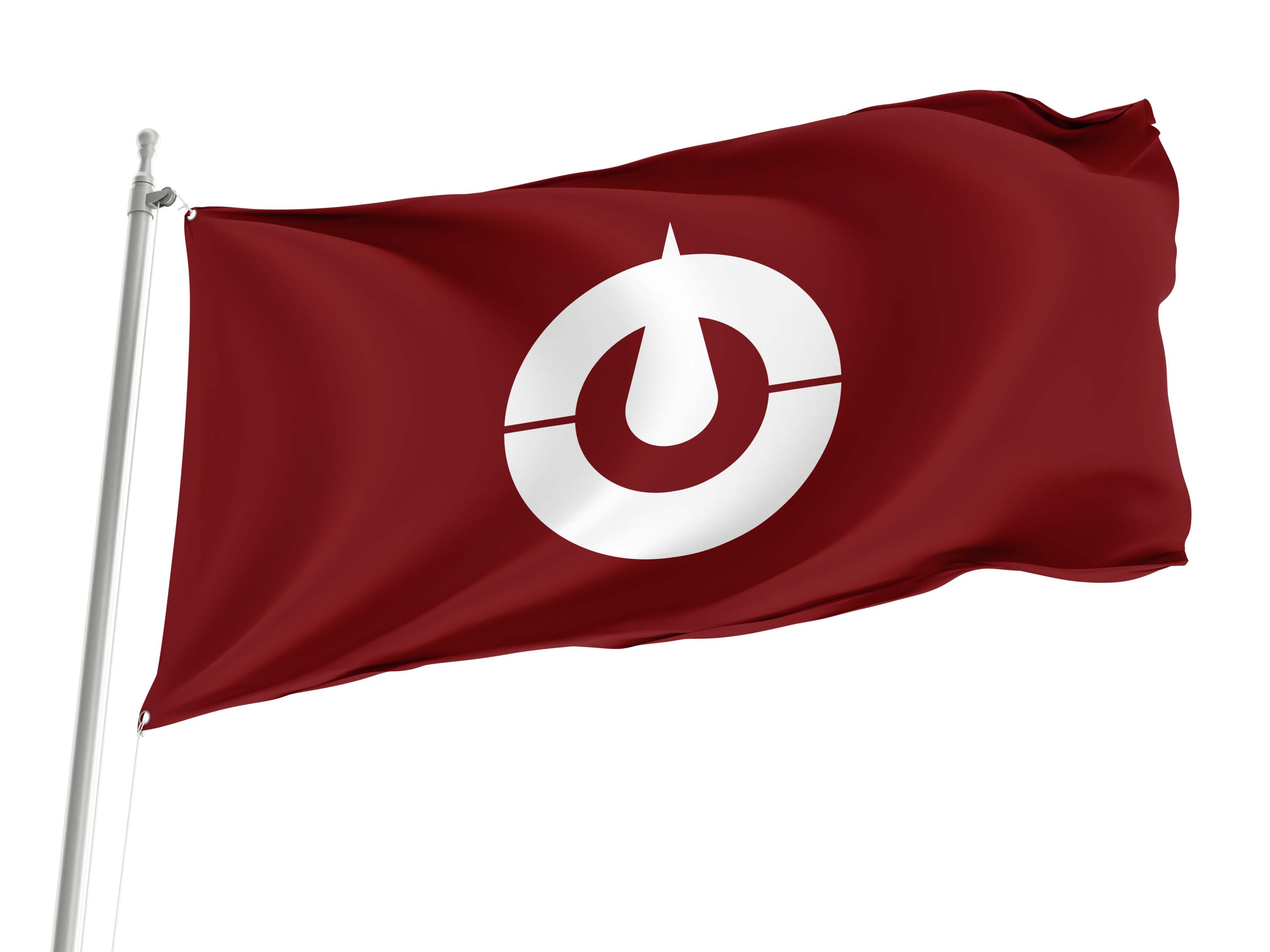 Kochi Prefecture Flag for Indoor & Outdoor Use