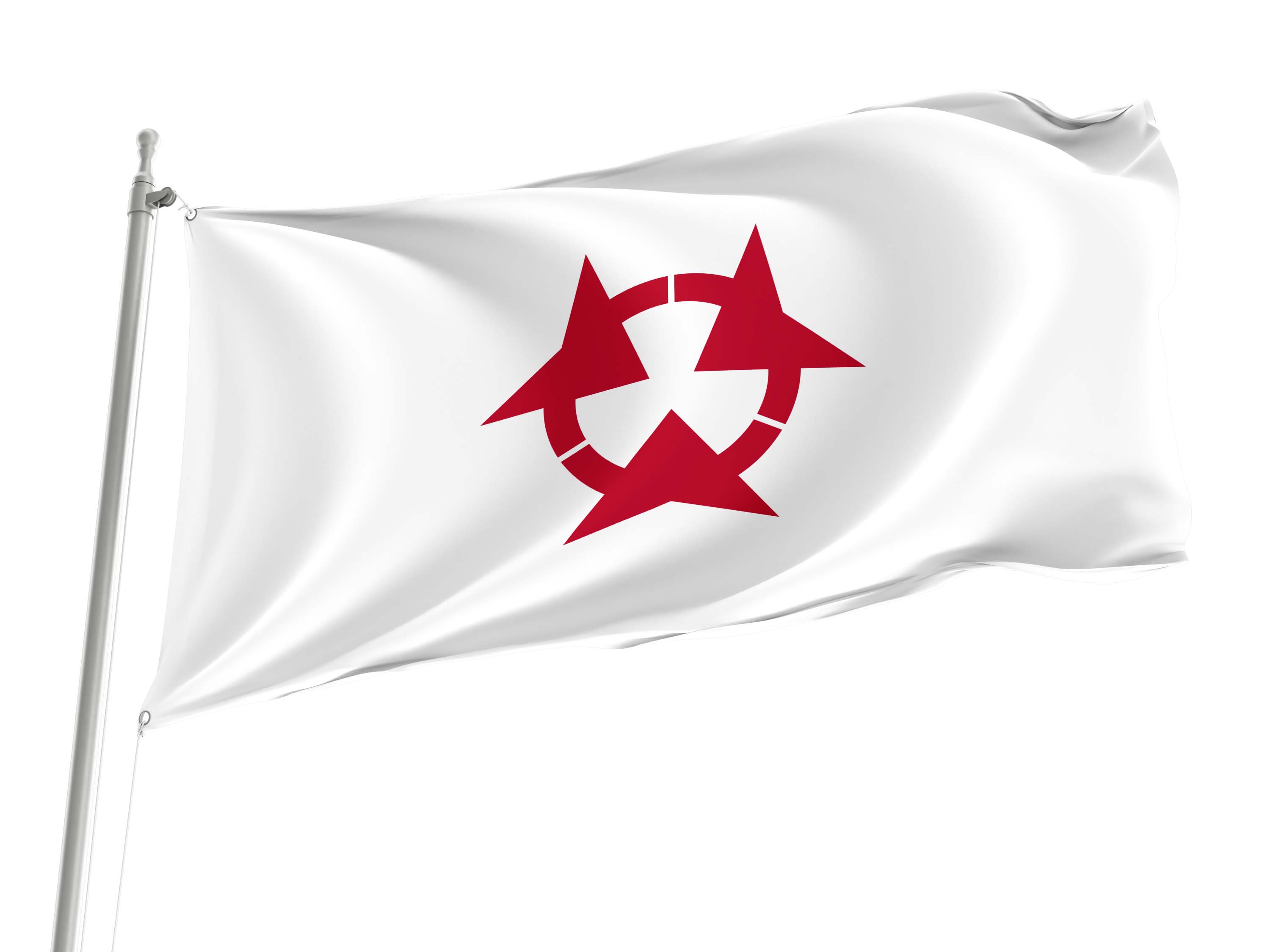 Oita Prefecture Flag for Indoor & Outdoor Use