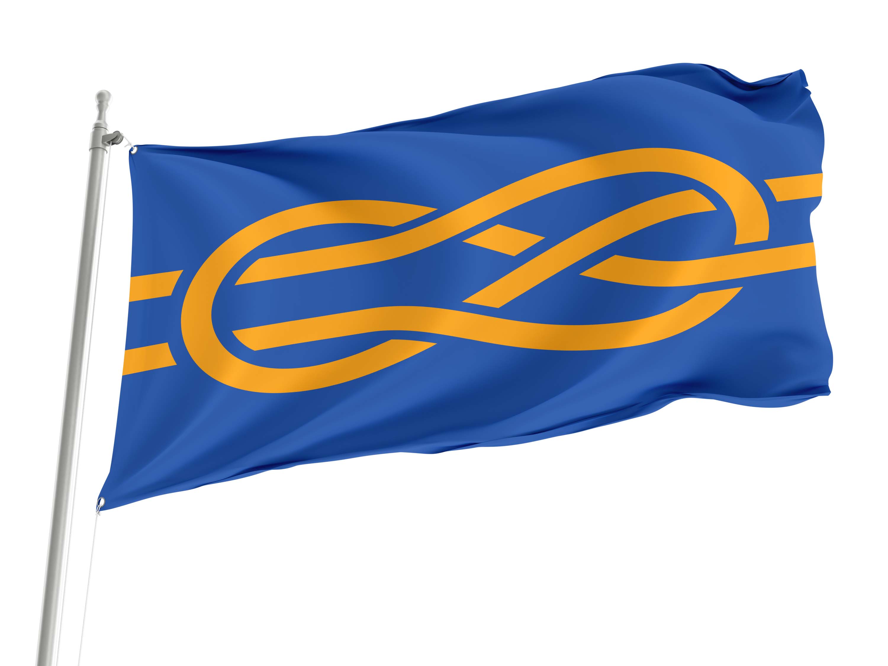 International Federation of Vexillological Associations (FIAV) Flag