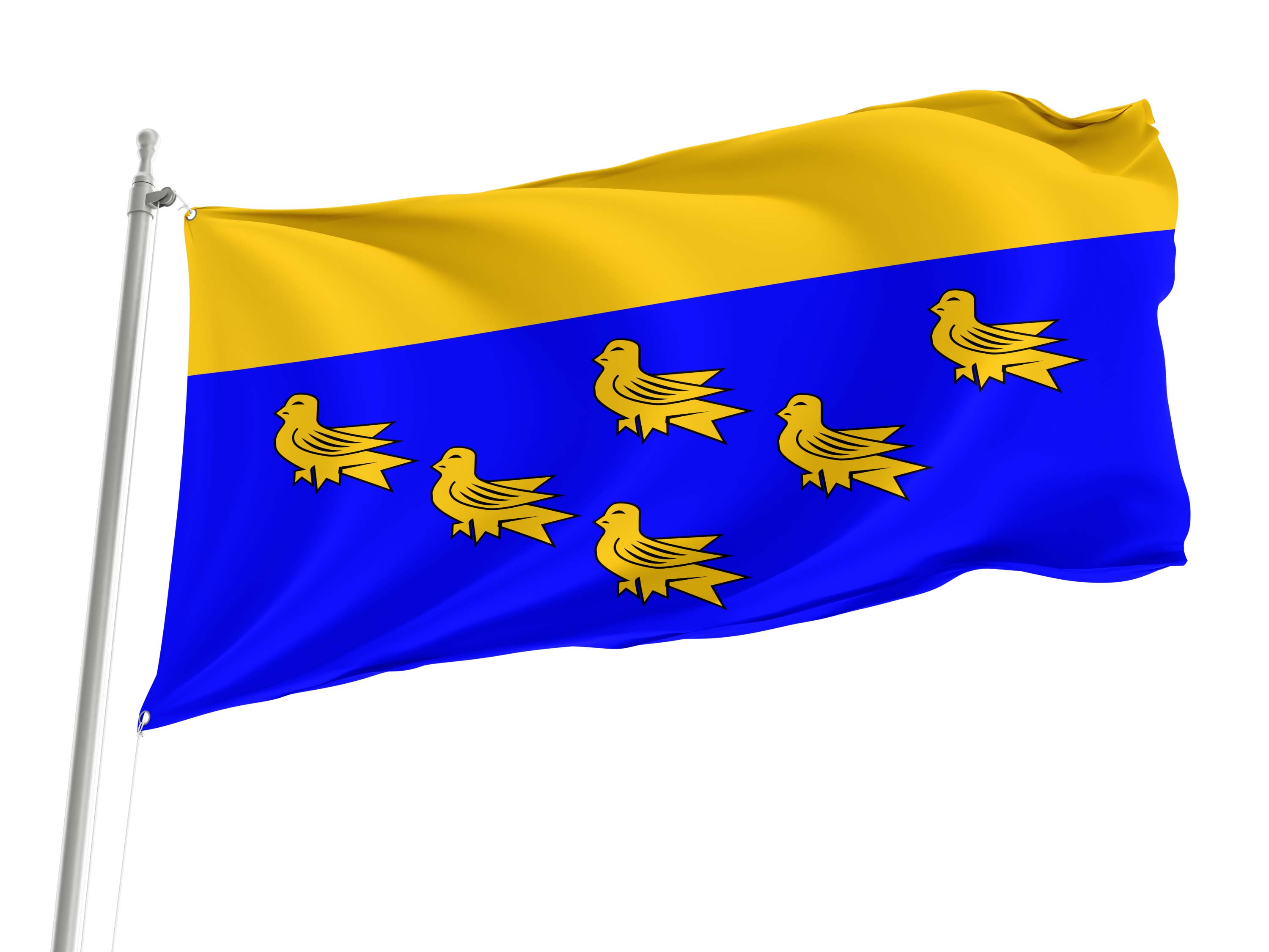 West Sussex County Council Flag for Indoor & Outdoor Use