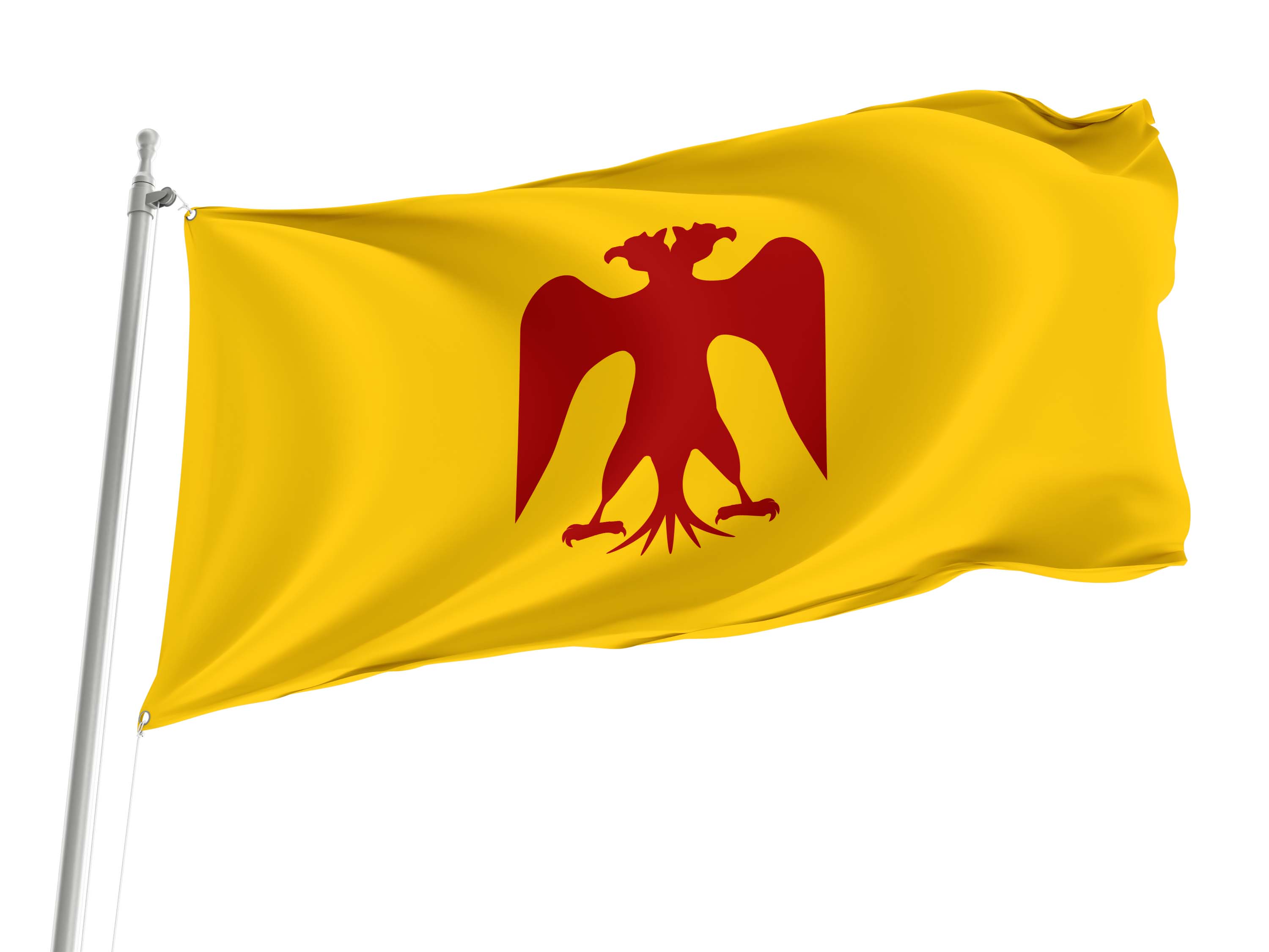Saladin Flag for Indoor & Outdoor Use