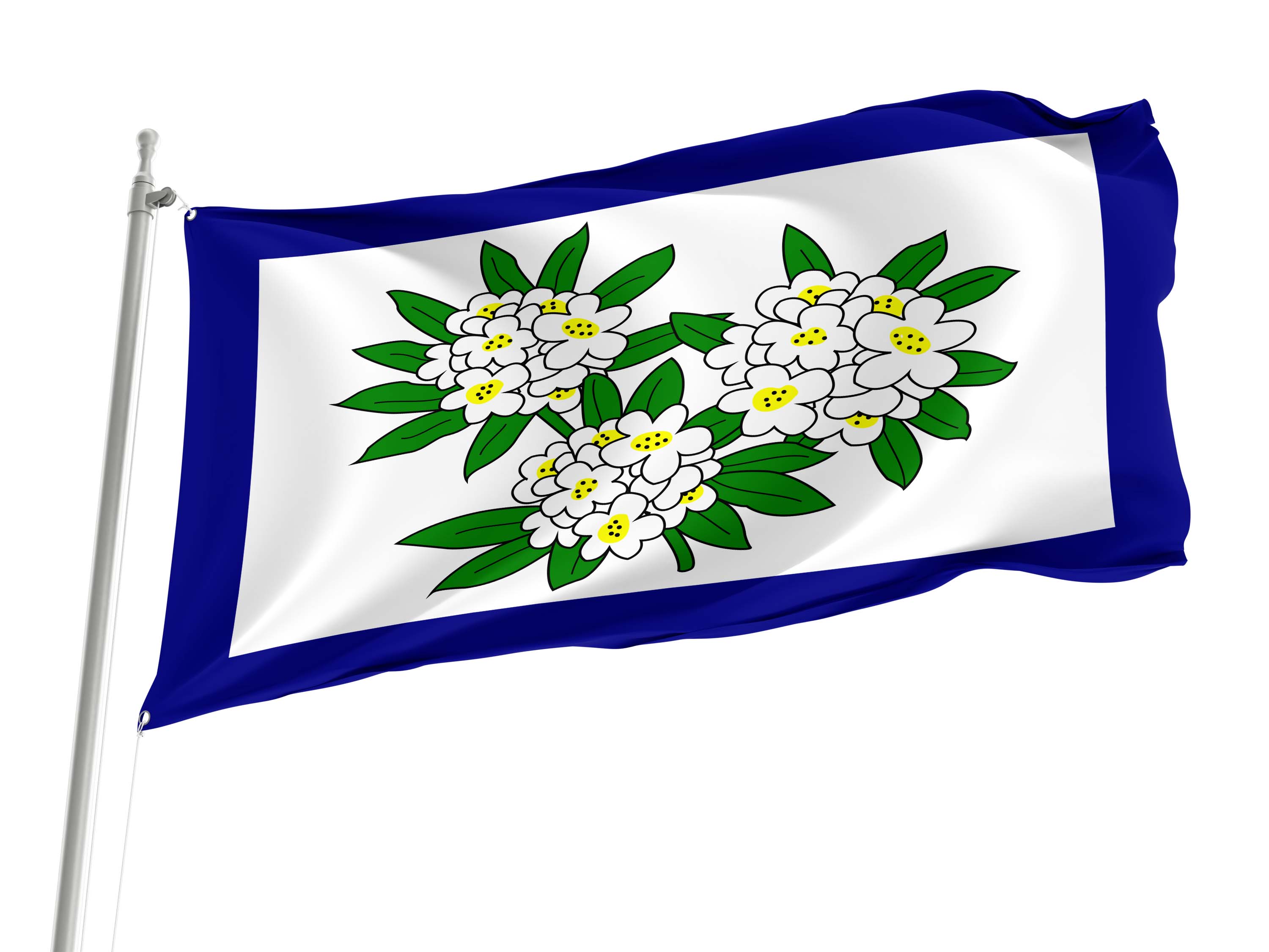 West Virginia Obverse 1905-1907 Flag for Indoor & Outdoor Use
