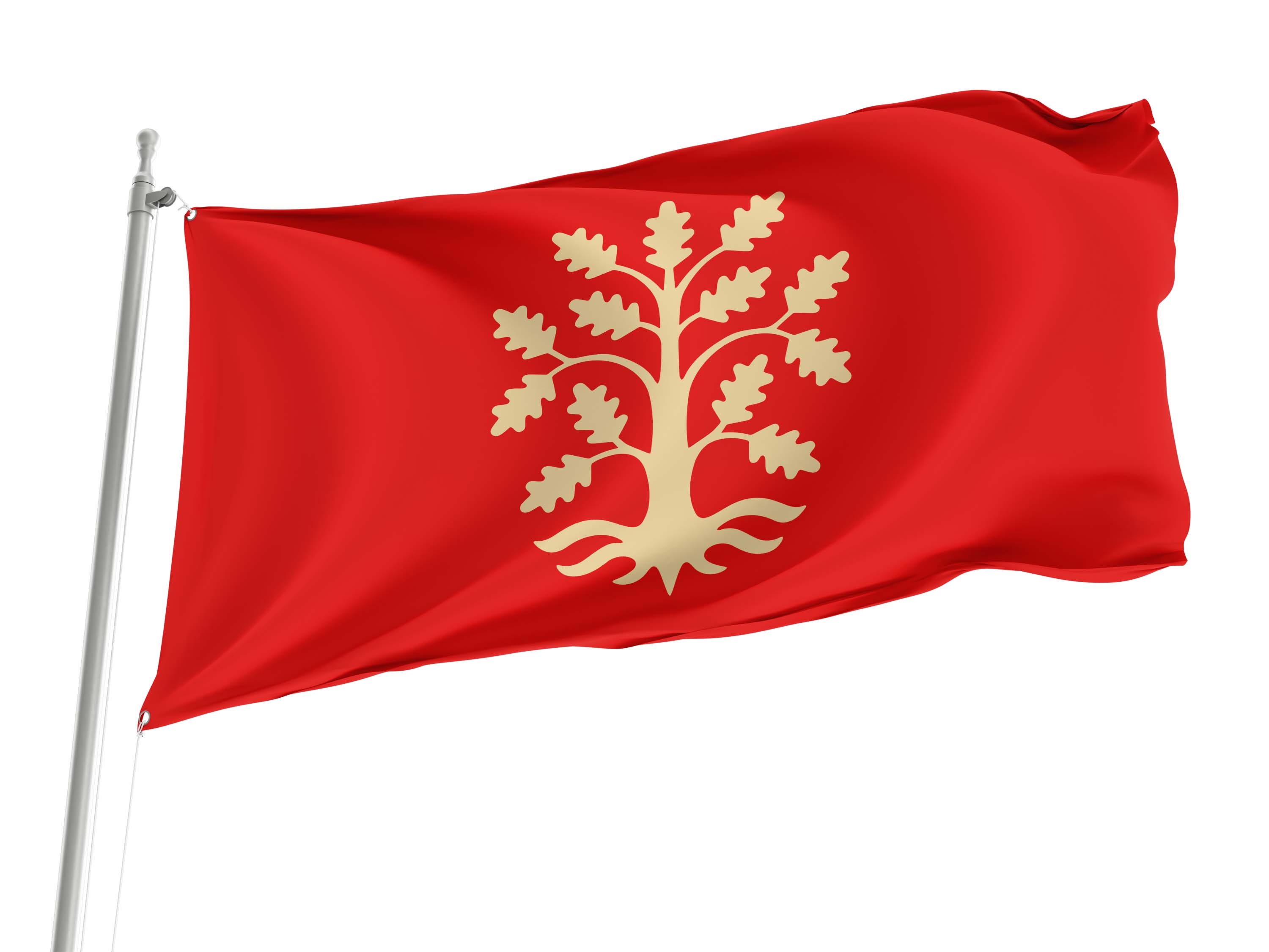 Agder County Flag for Indoor & Outdoor Use