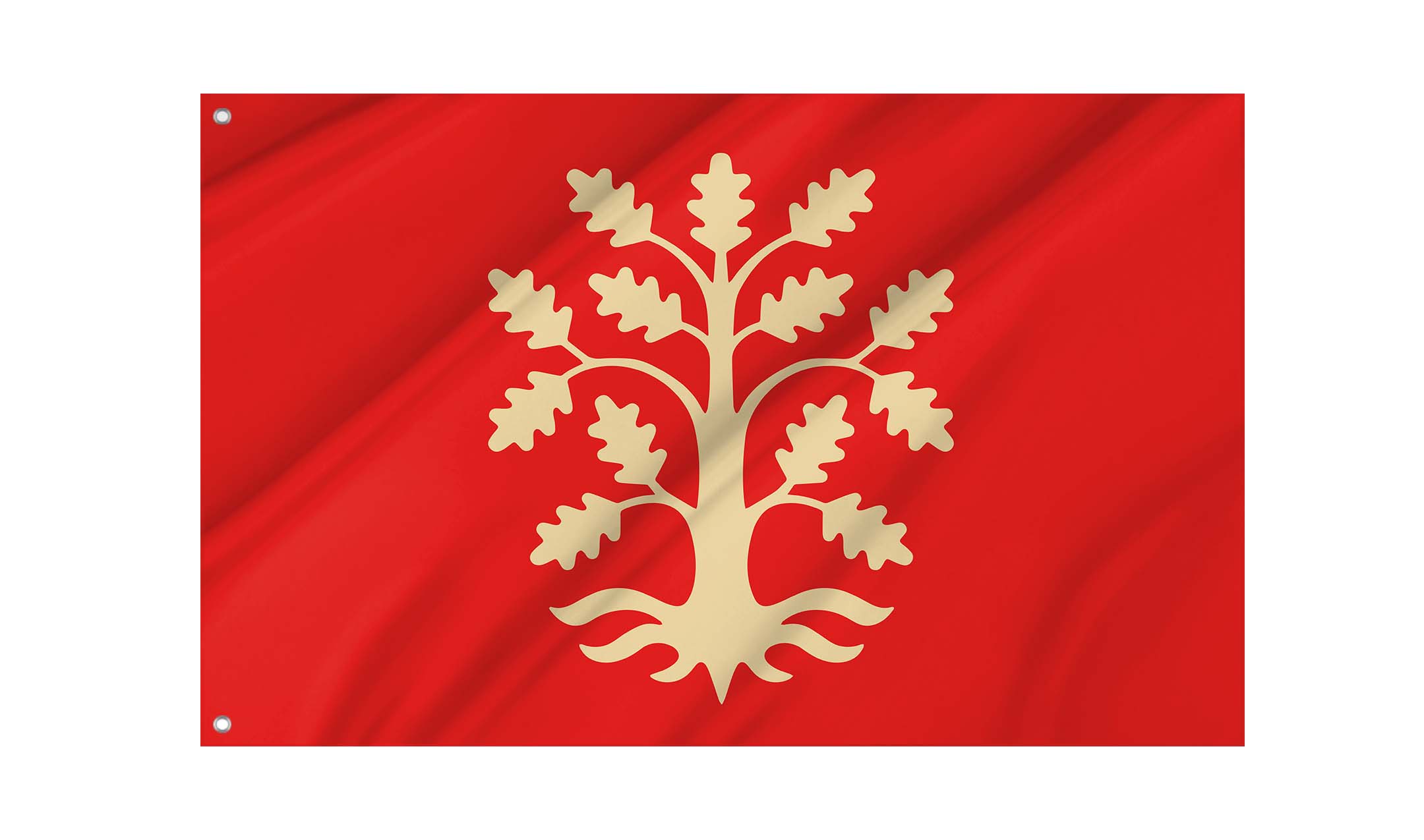 Agder County Flag for Indoor & Outdoor Use
