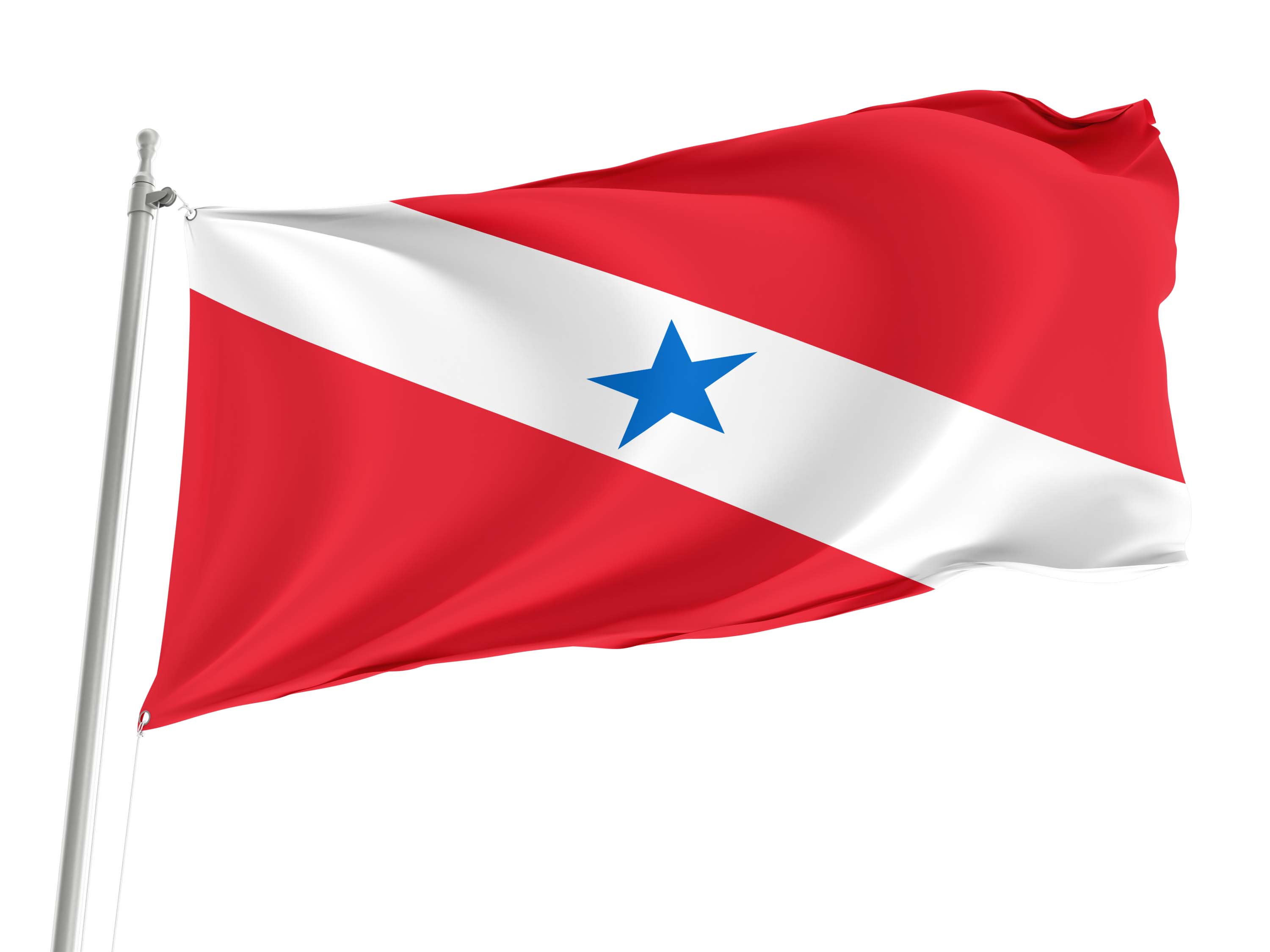 Pará Flag for Indoor & Outdoor Use