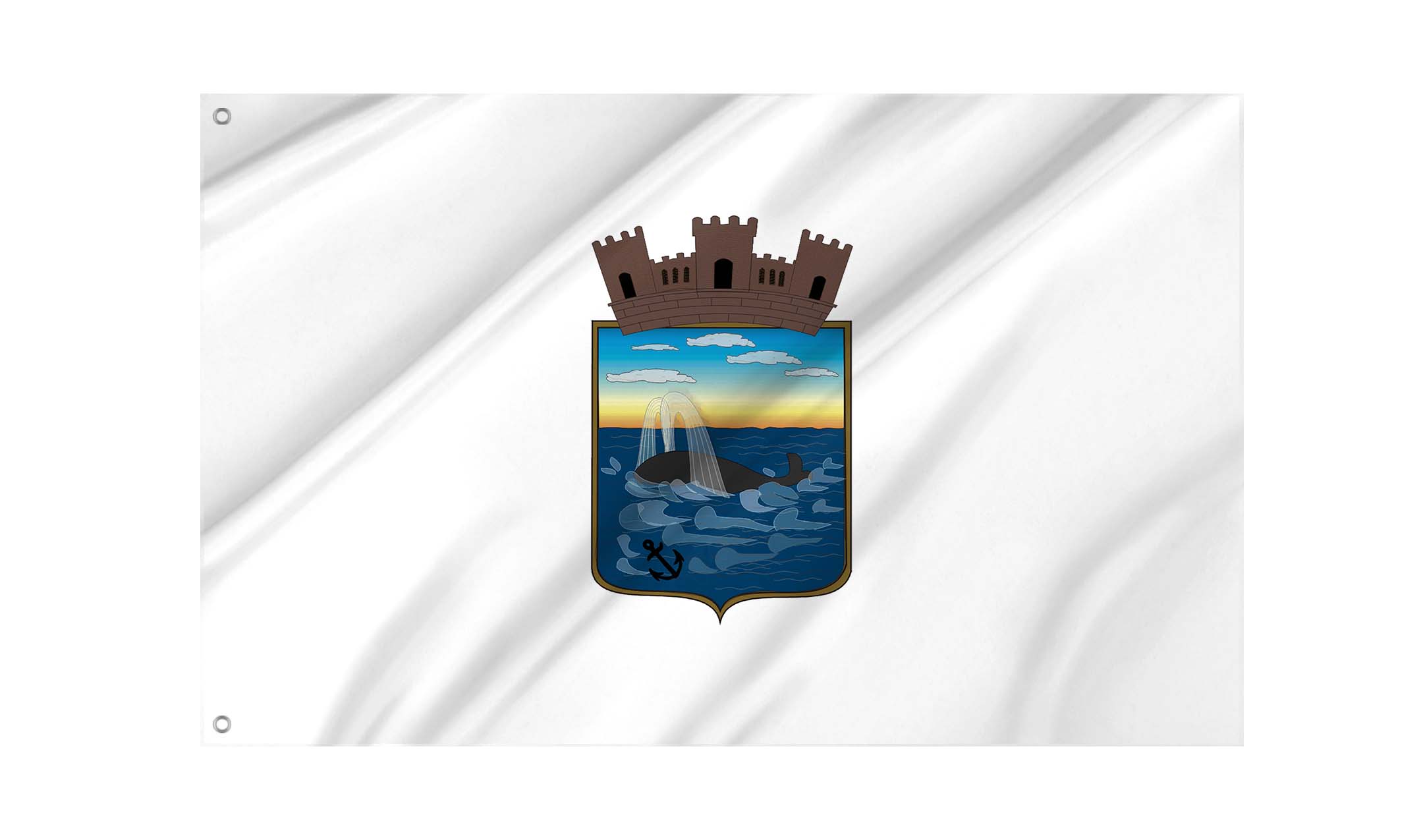 Maldonado Department Flag for Indoor & Outdoor Use