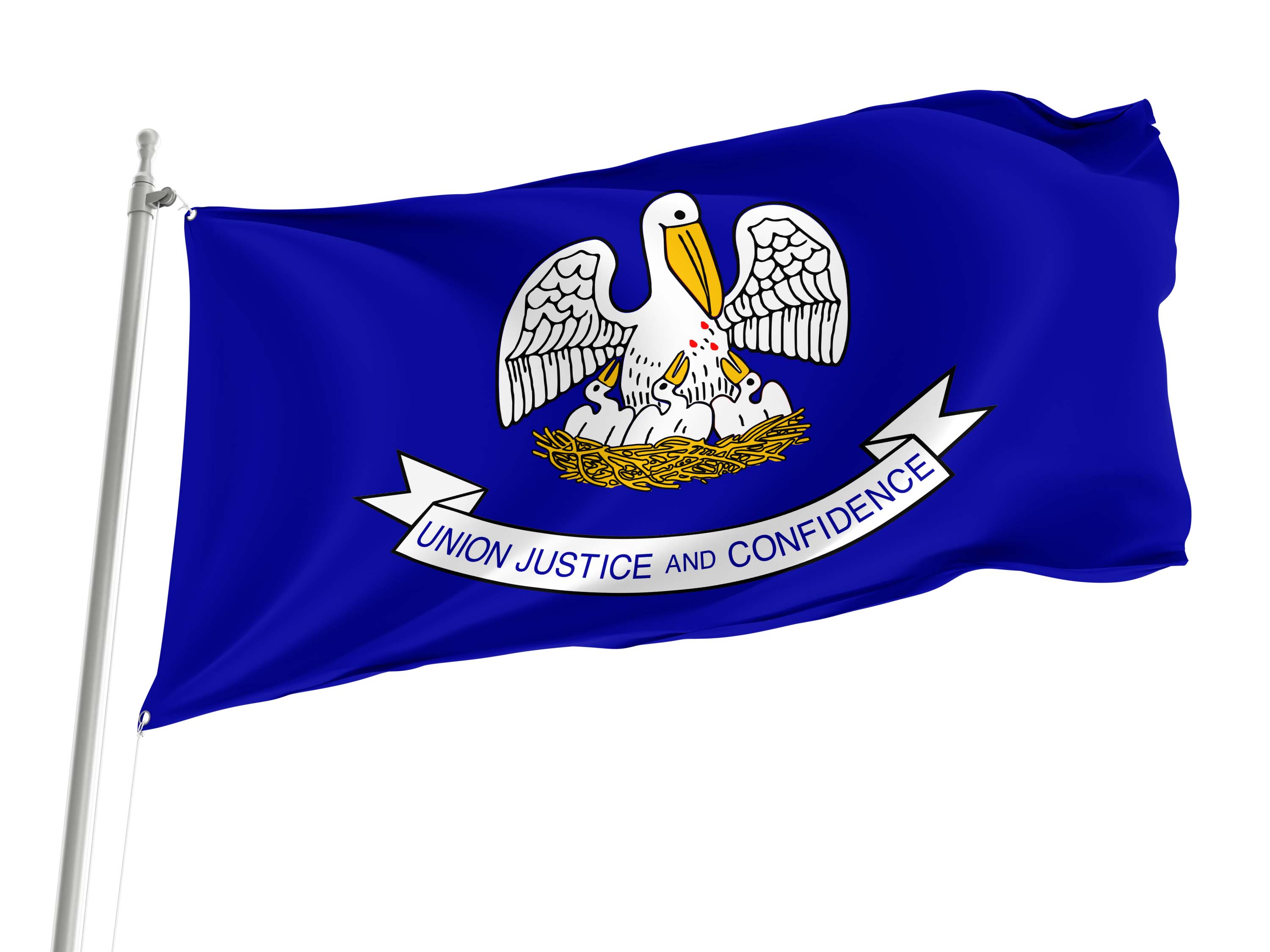 Louisiana 2006-2010 Flag for Indoor & Outdoor Use